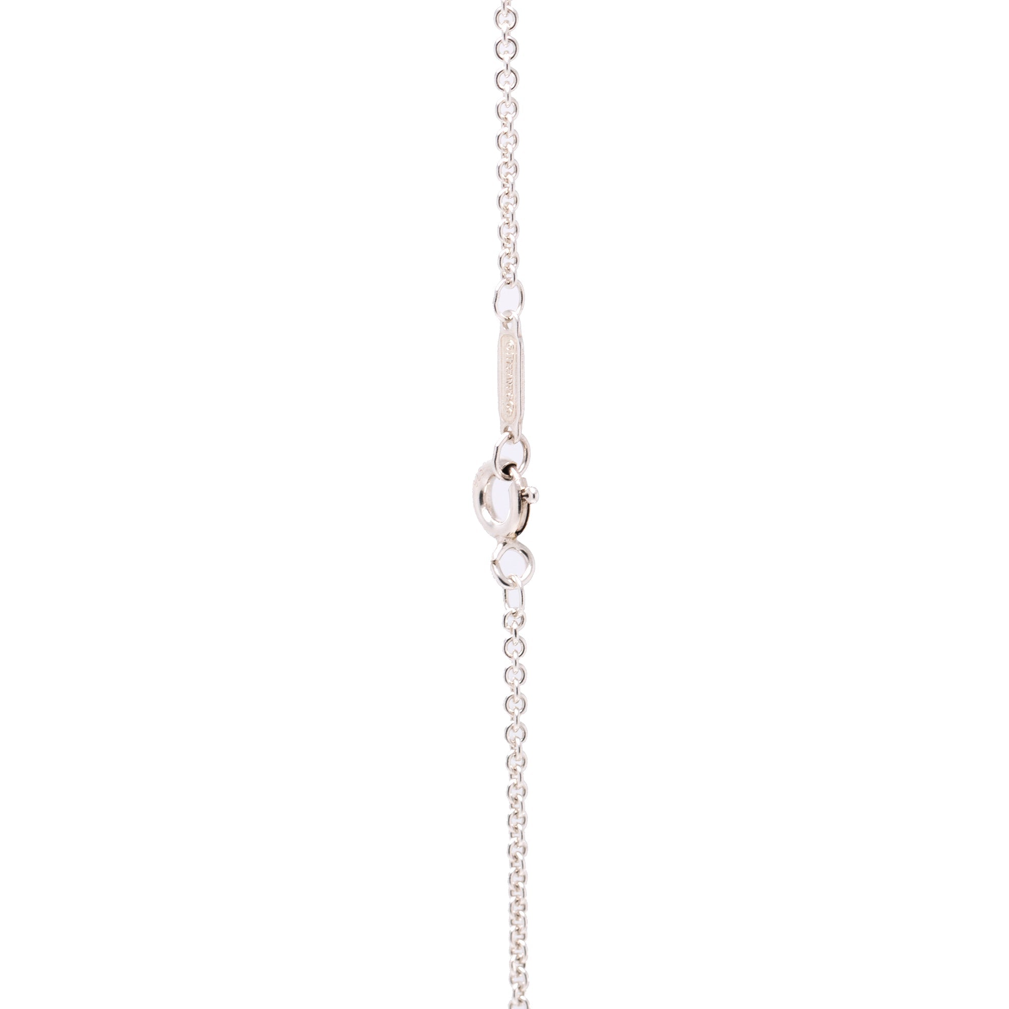 Tiffany & Co. Medium 1837 Interlocking Circles Pendant Necklace