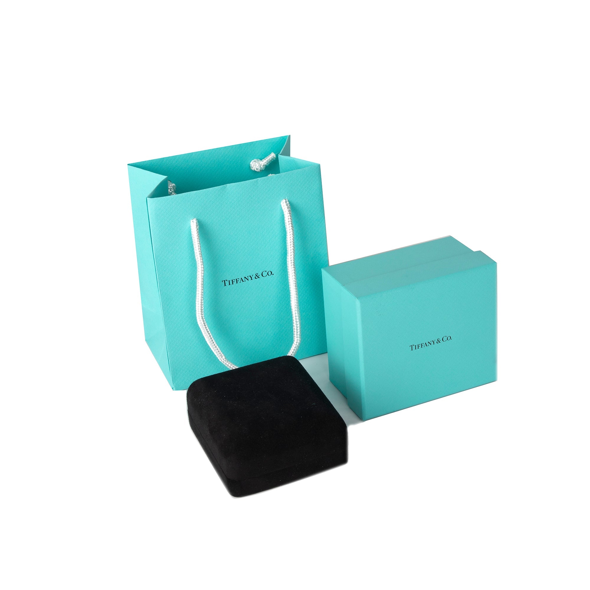 Tiffany & Co. Platinum & Diamond Enchant Heart Key Pendant Necklace w/ Box