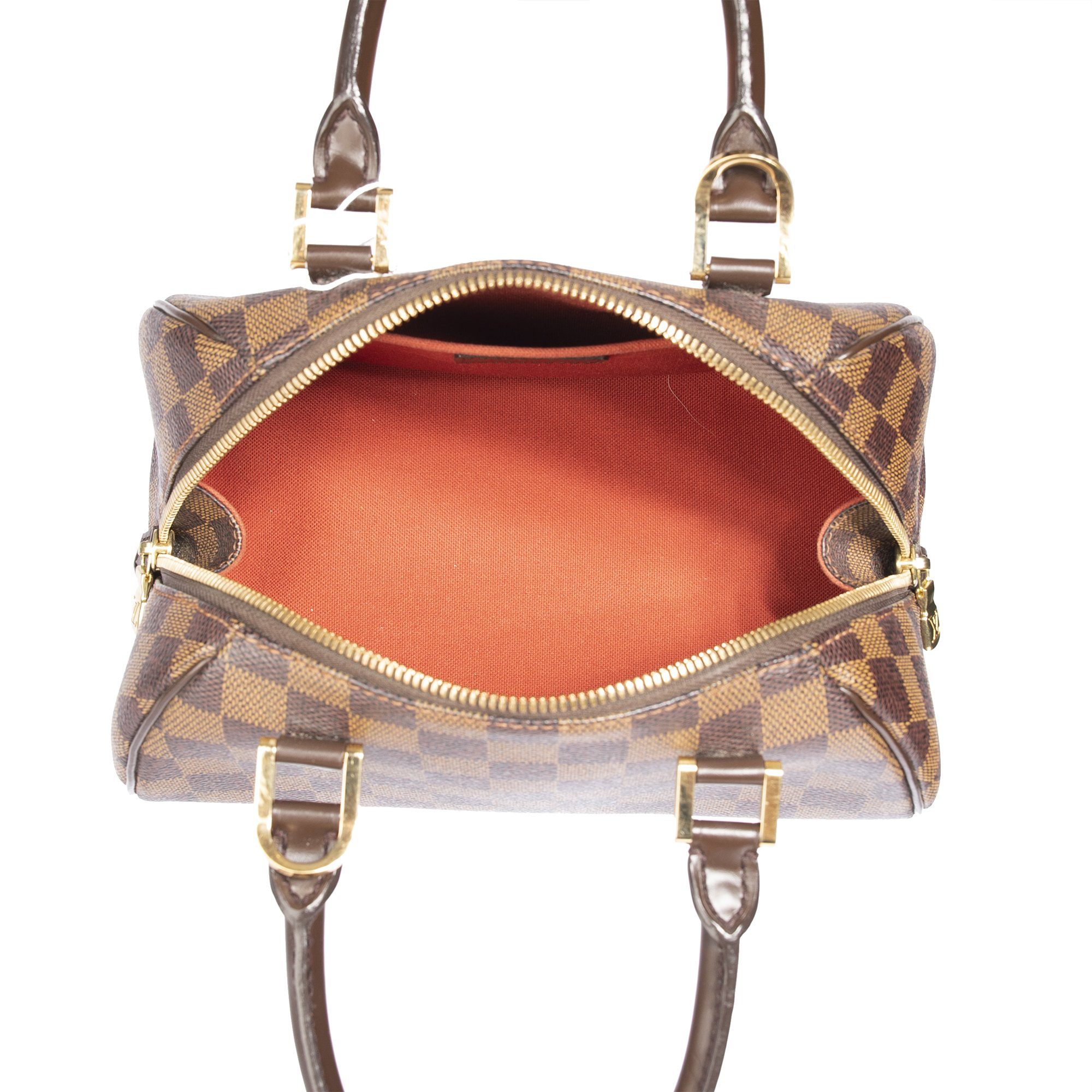 Louis Vuitton Damier Ebene Mini Ribera Bag