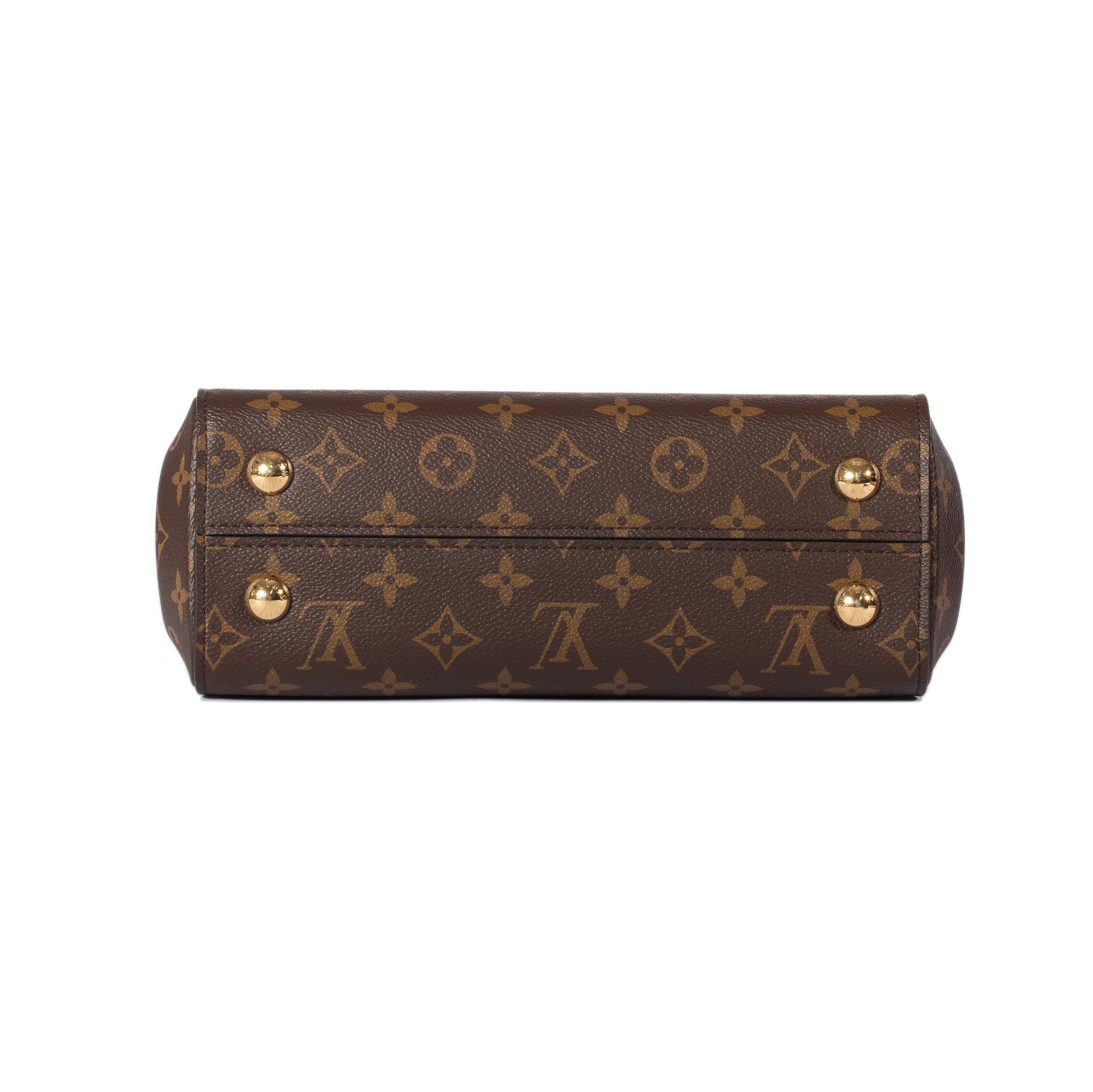 Louis Vuitton Monogram Cluny BB