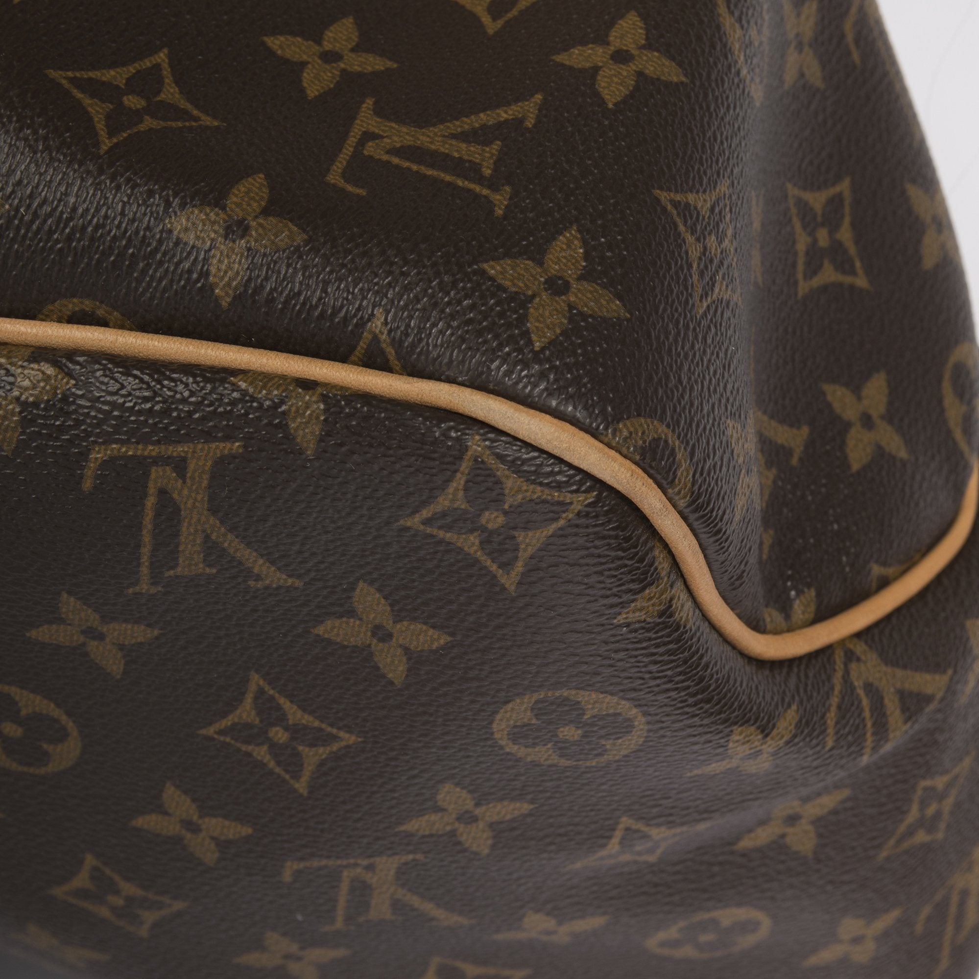 Louis Vuitton Monogram Delightful GM