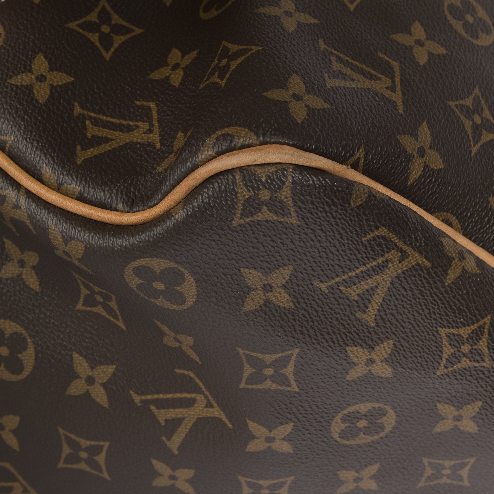 Louis Vuitton Monogram Delightful GM