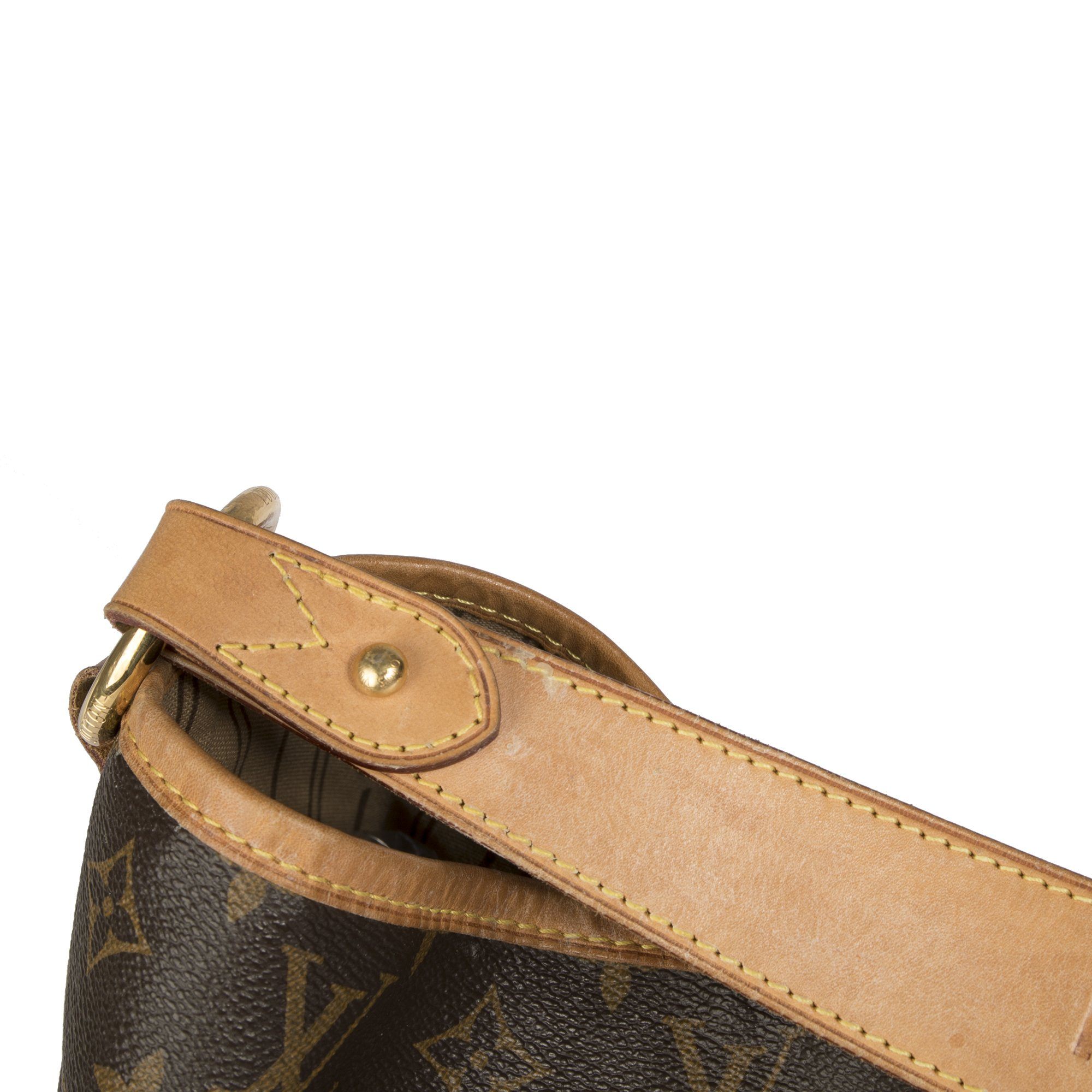 Louis Vuitton Monogram Delightful GM