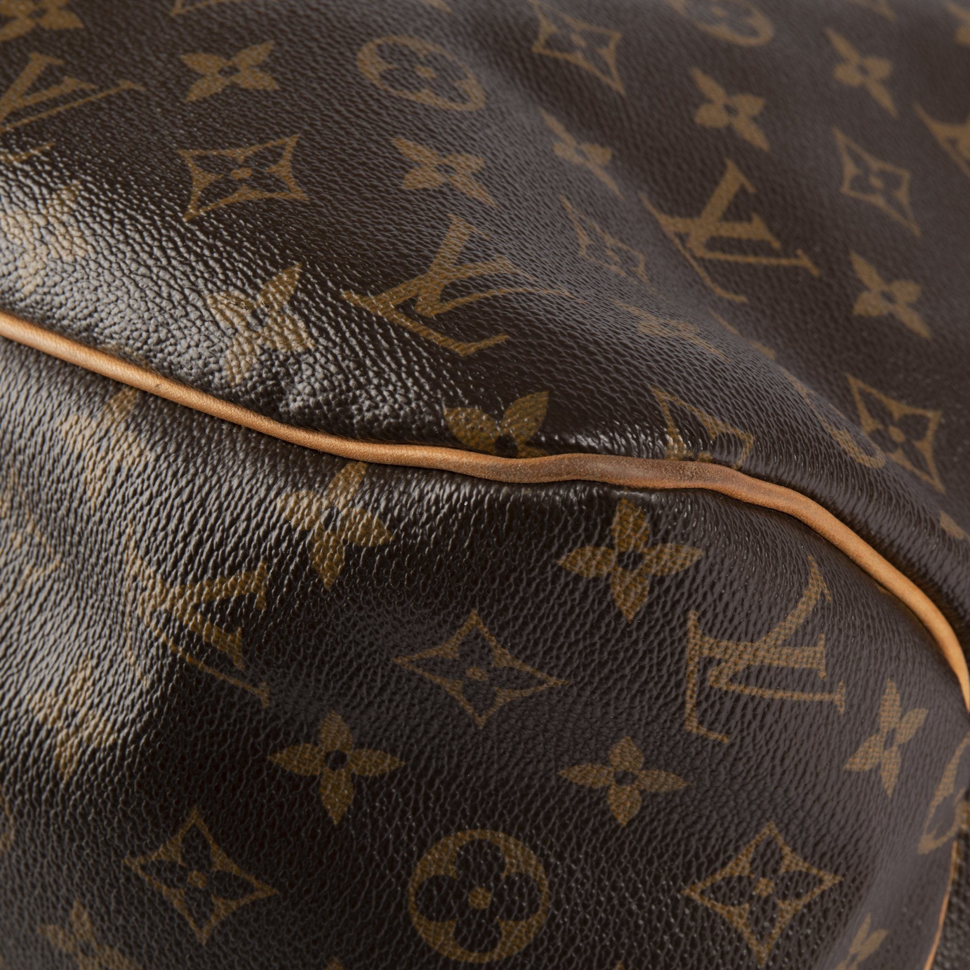 Louis Vuitton Monogram Delightful MM