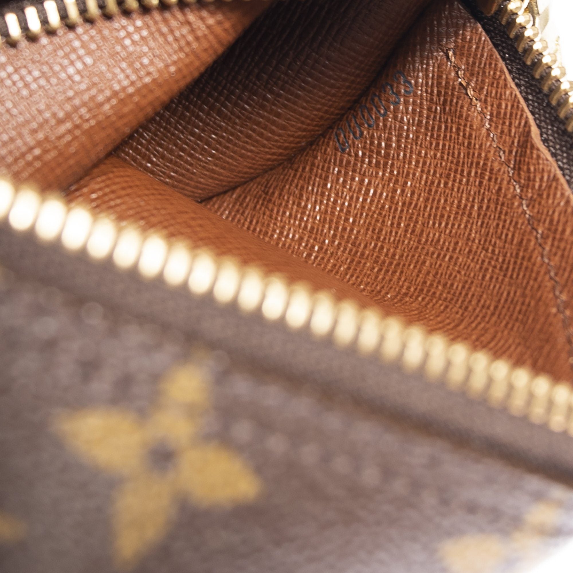 Louis Vuitton Monogram Papillon 19