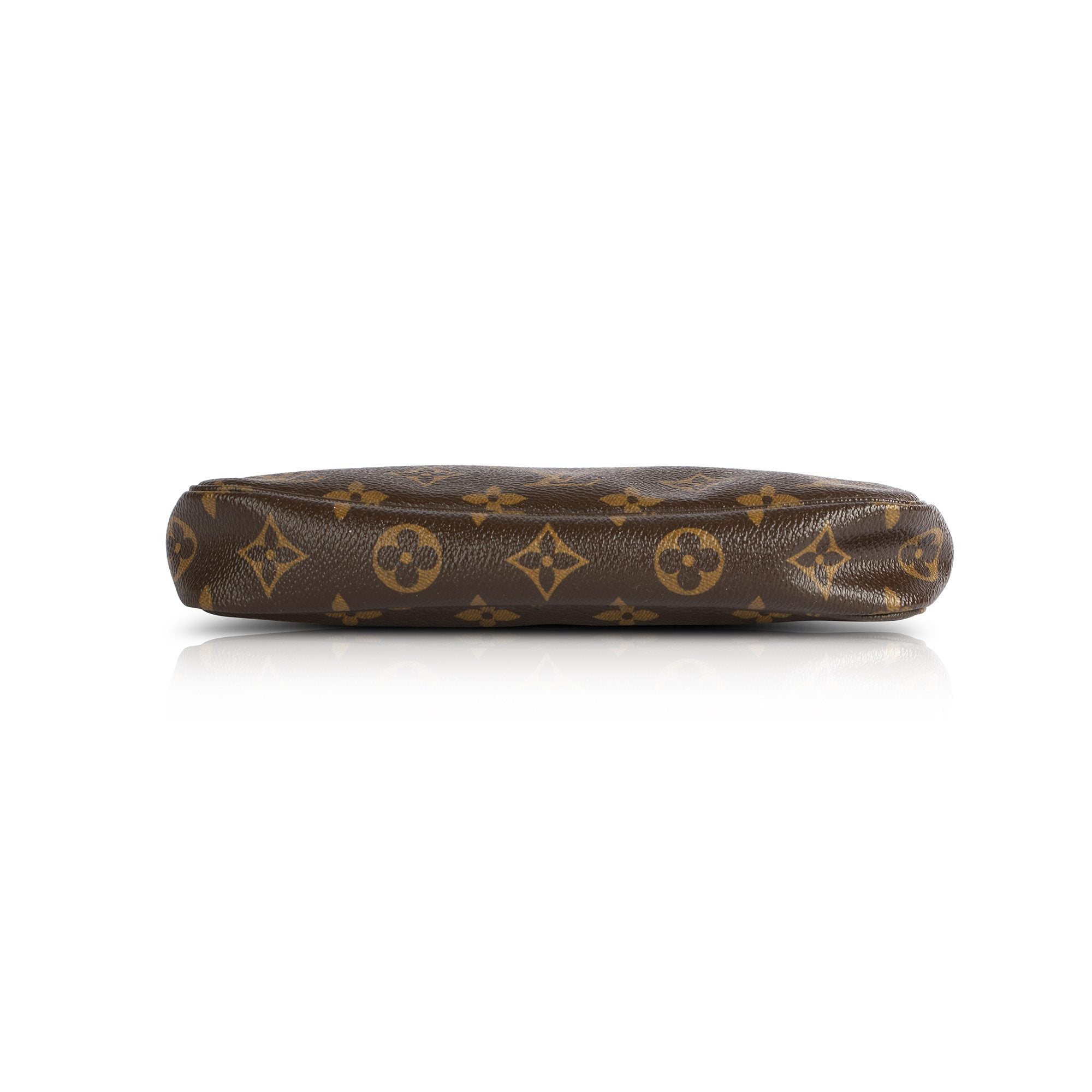 Louis Vuitton Monogram Pochette Accessories