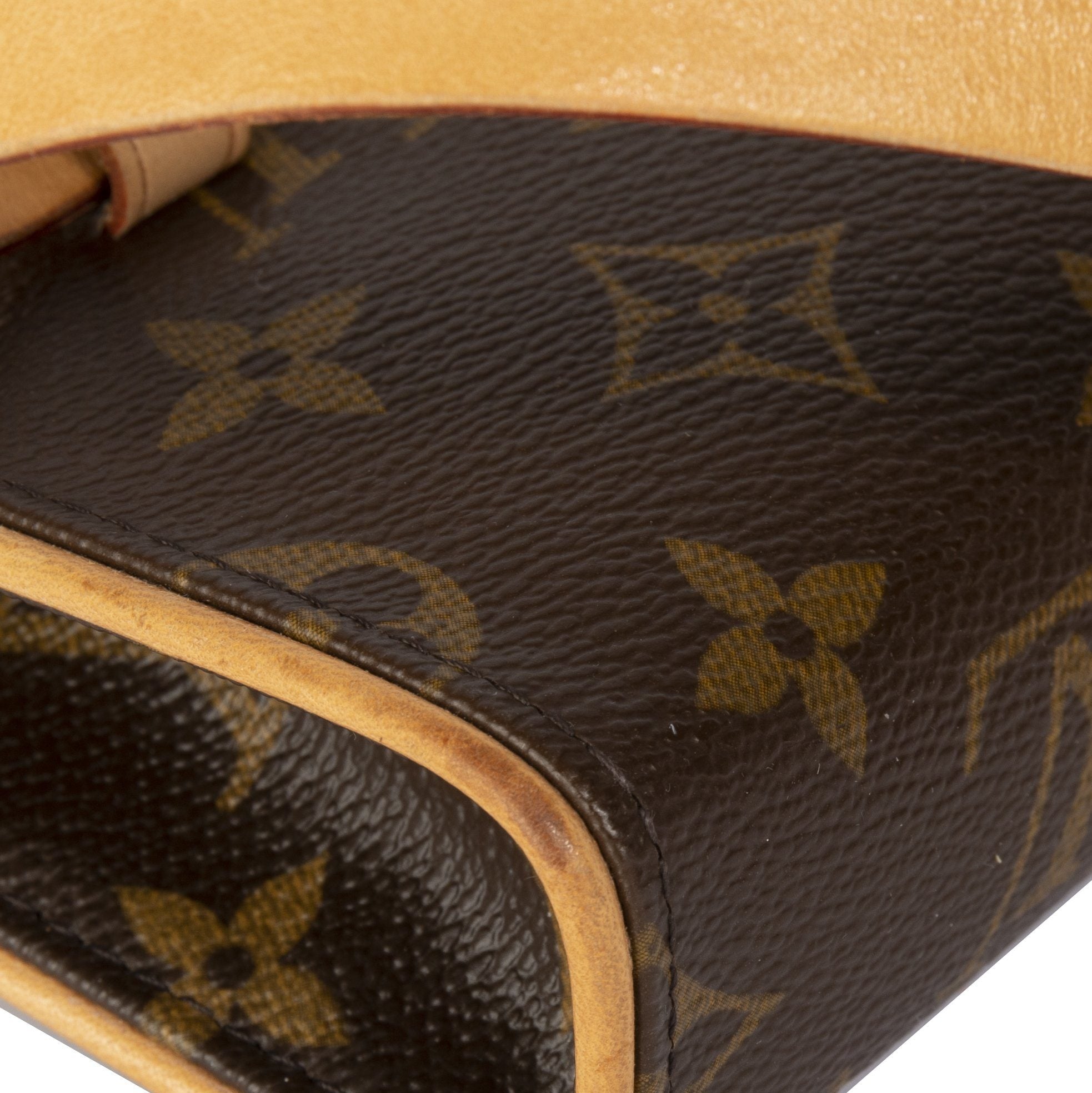 Louis Vuitton Monogram Pochette Florentine