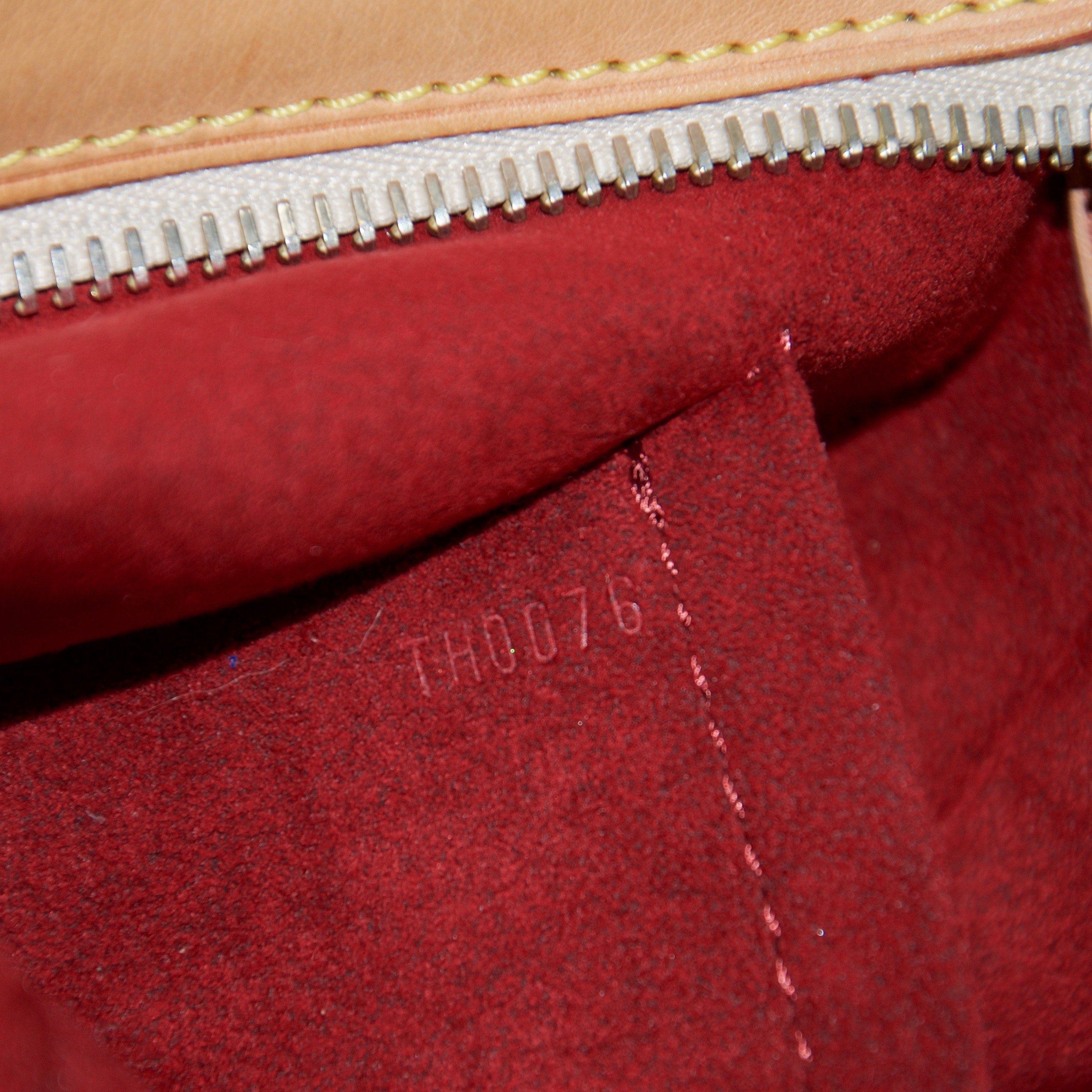 Louis Vuitton Multicolore Eliza Bag