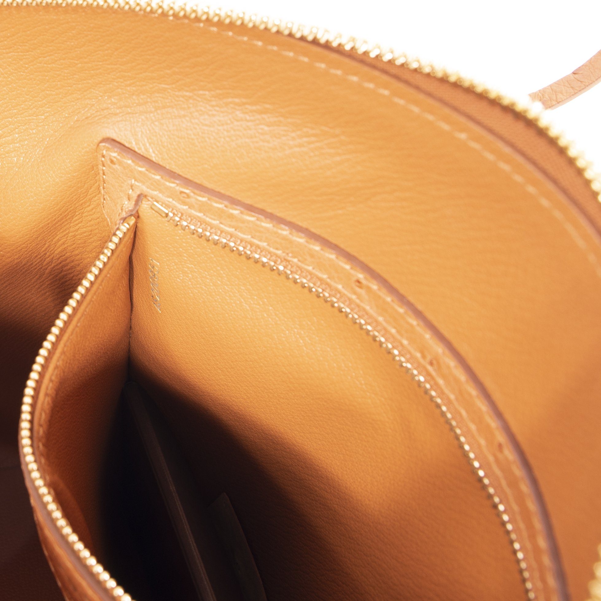 Louis Vuitton Ostrich Lockit PM