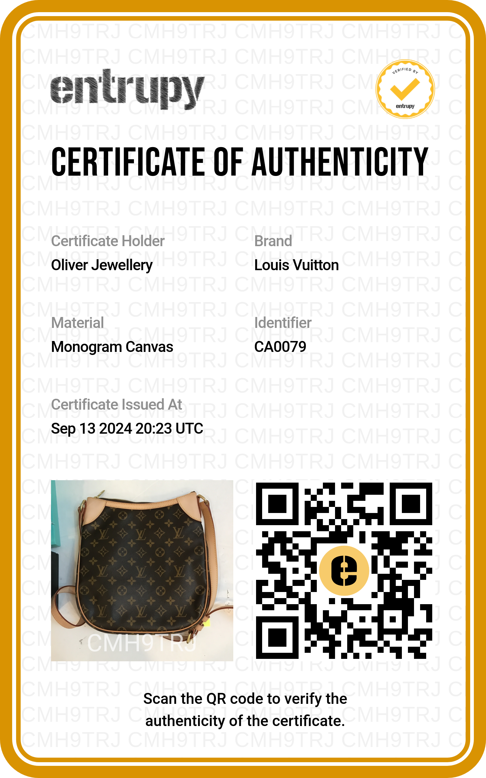 Louis Vuitton Monogram Odeon MM
