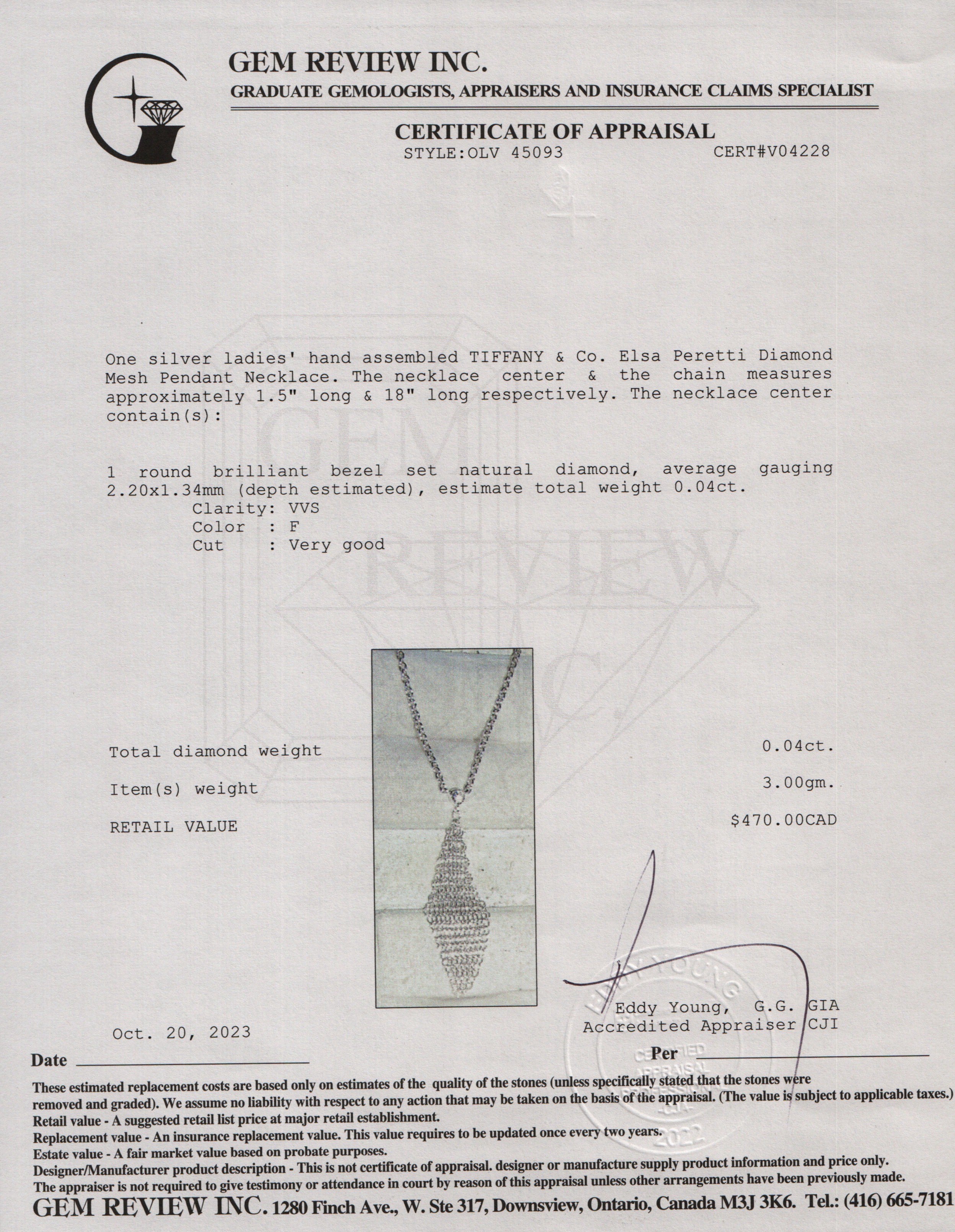Tiffany & Co. Elsa Peretti Sterling Silver Diamond Mesh Pendant Necklace