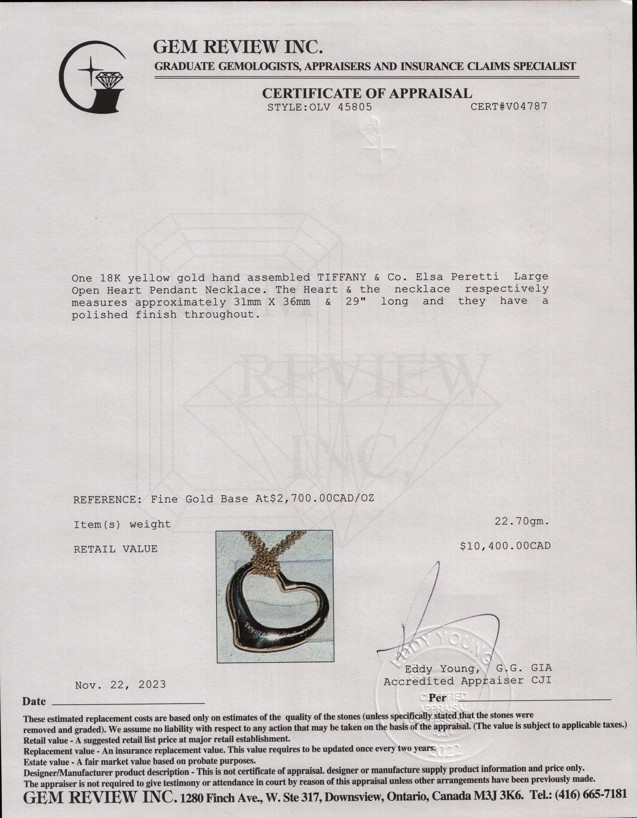 Tiffany & Co. Elsa Peretti 18k Yellow Gold Large 36MM Open Heart Pendant Mesh Necklace