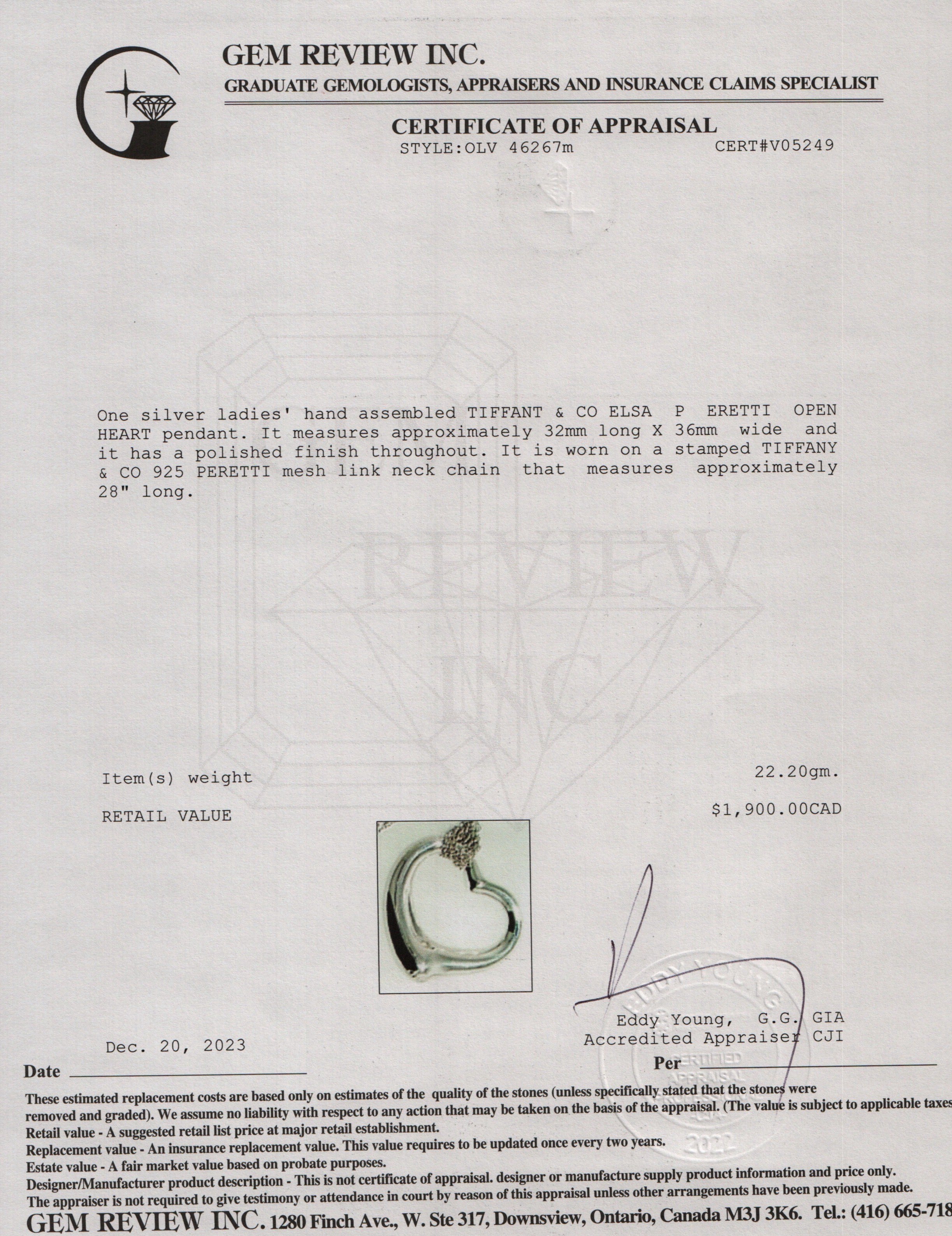 Tiffany & Co. Elsa Peretti Sterling Silver Large 36 MM Open Heart Pendant Mesh Necklace