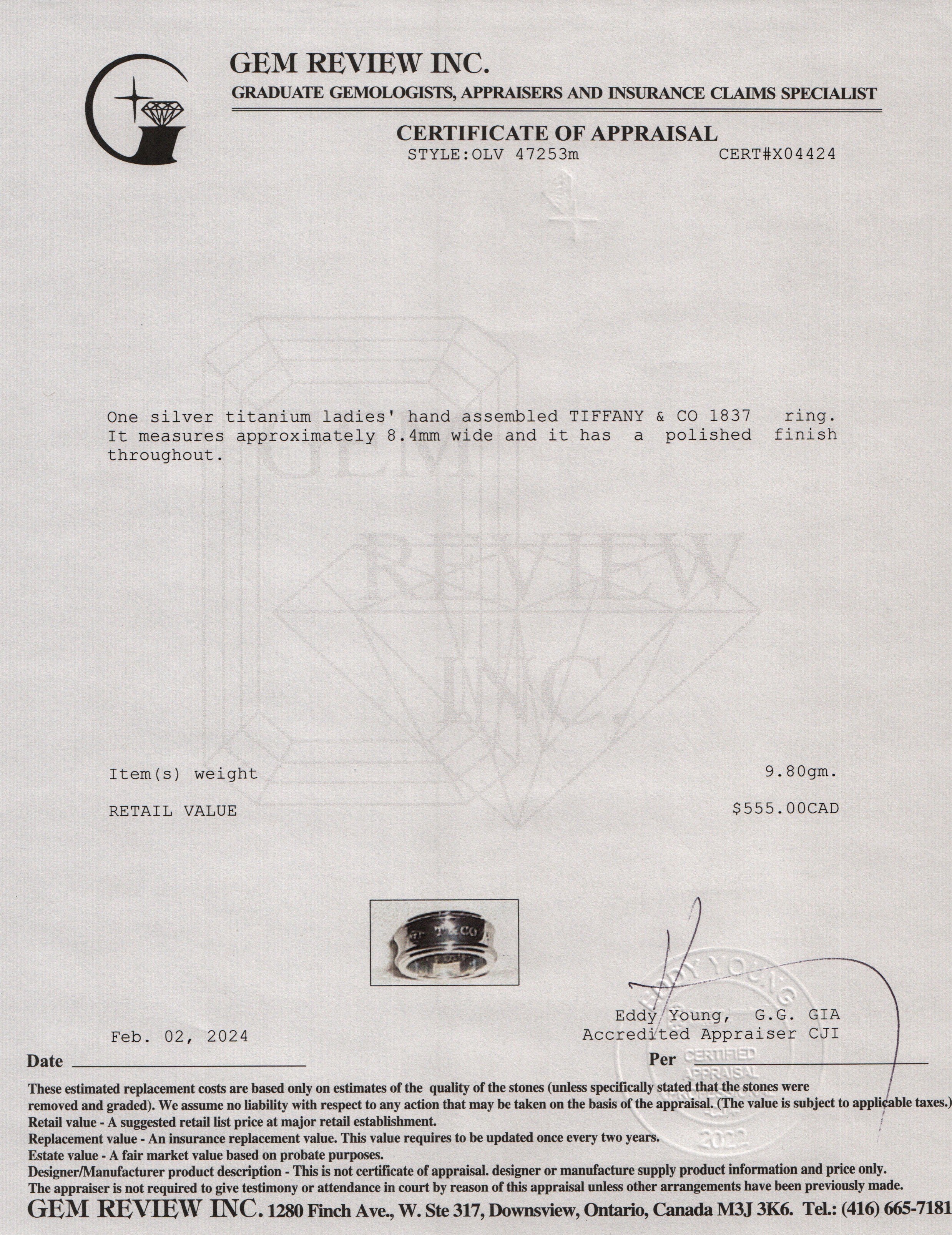 Tiffany & Co. Titanium & Sterling Silver 1837 Ring, Size 11