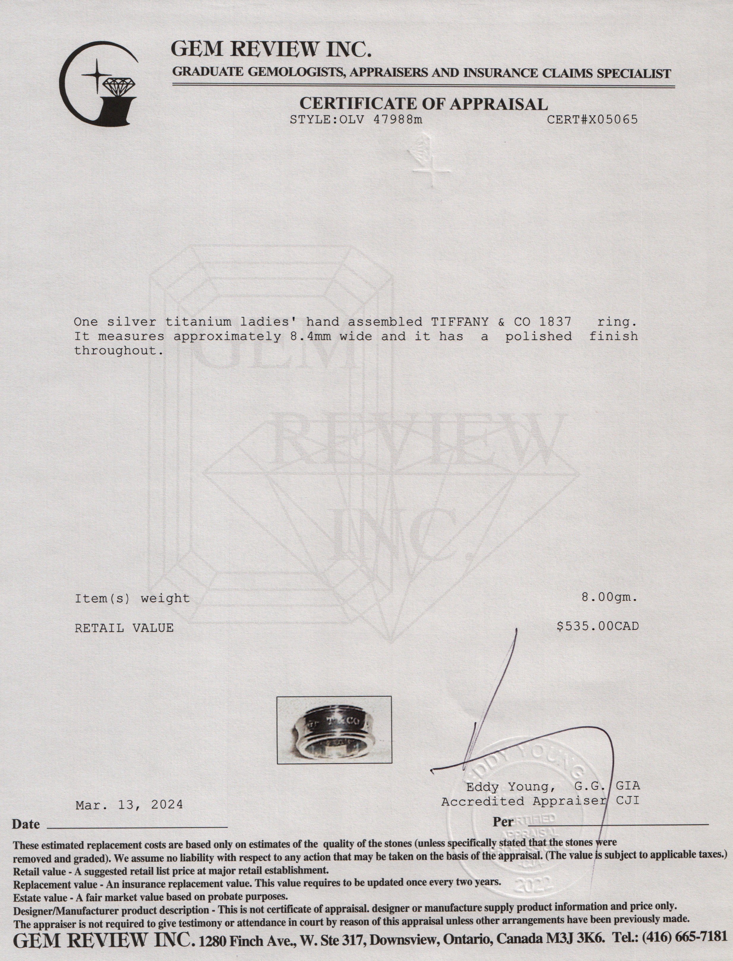 Tiffany & Co. Titanium & Sterling Silver 1837 Ring, Size 9