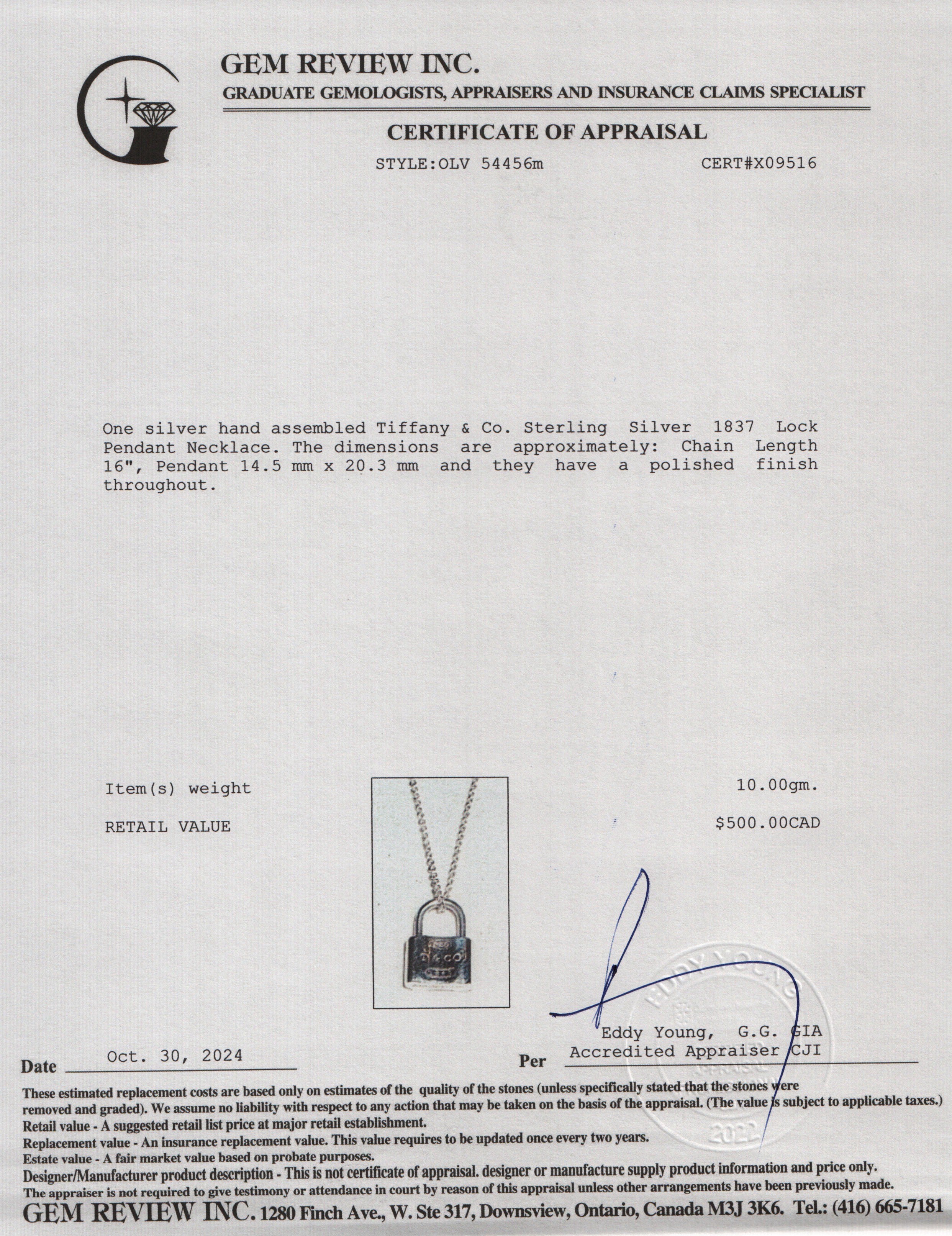 Tiffany & Co. Sterling Silver 1837 Lock Pendant Necklace