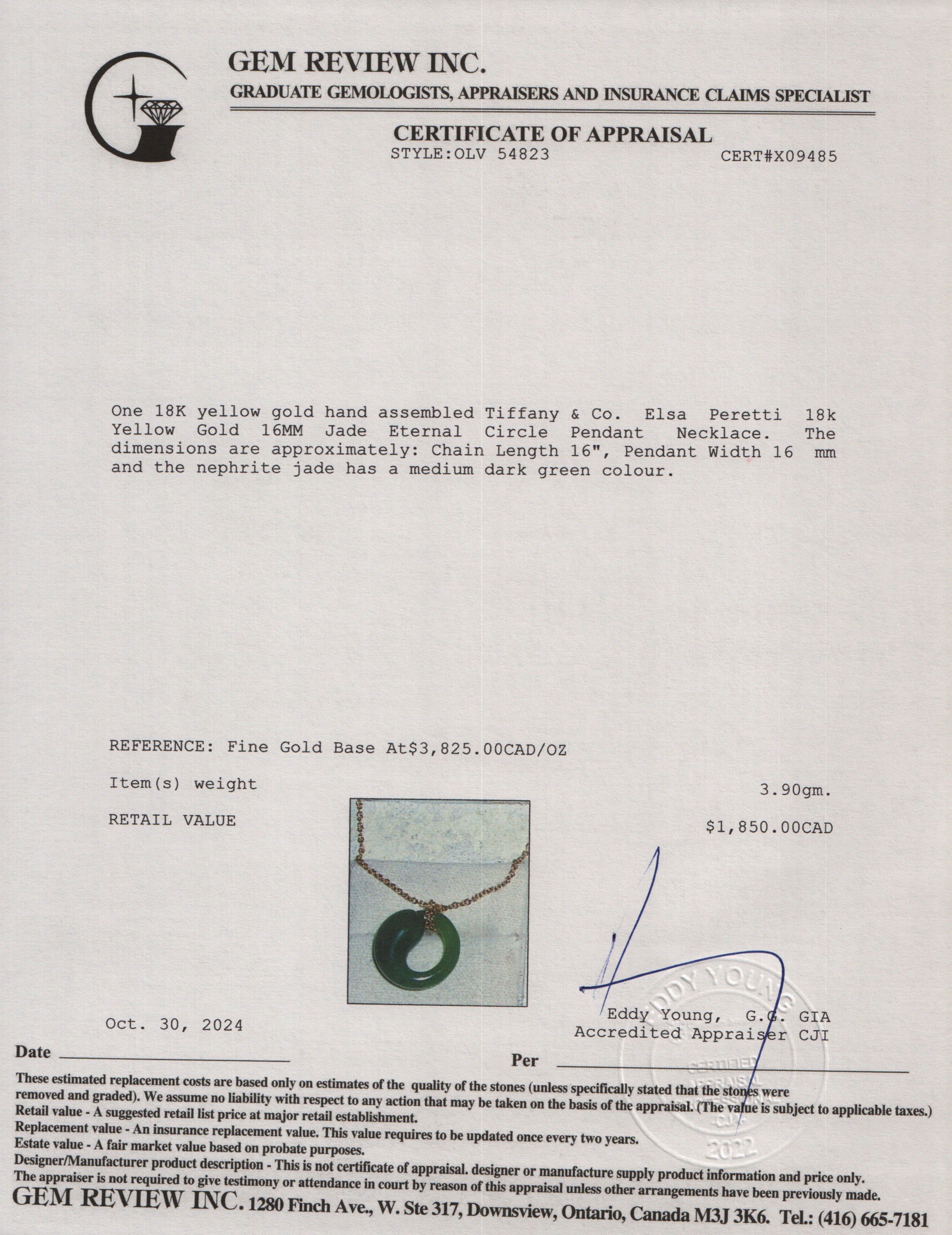 Tiffany & Co. Elsa Peretti 18k Yellow Gold 16MM Jade Eternal Circle Pendant Necklace w/ Box