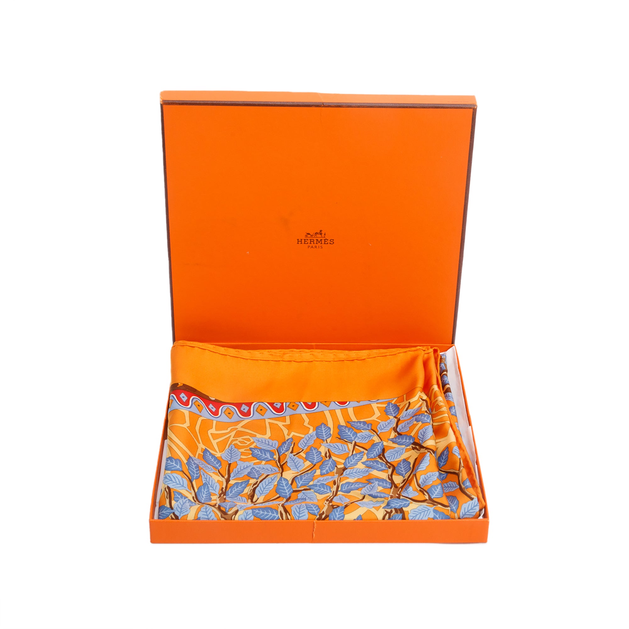 Hermes Orange'Axis Mundi (Detail)' Silk Scarf 90 w/ Box
