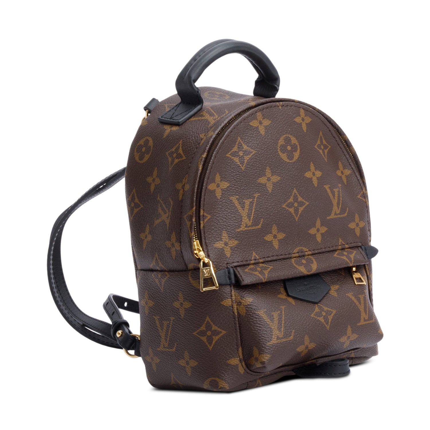 Louis Vuitton Monogram Palm Springs Mini Backpack w/ Receipt