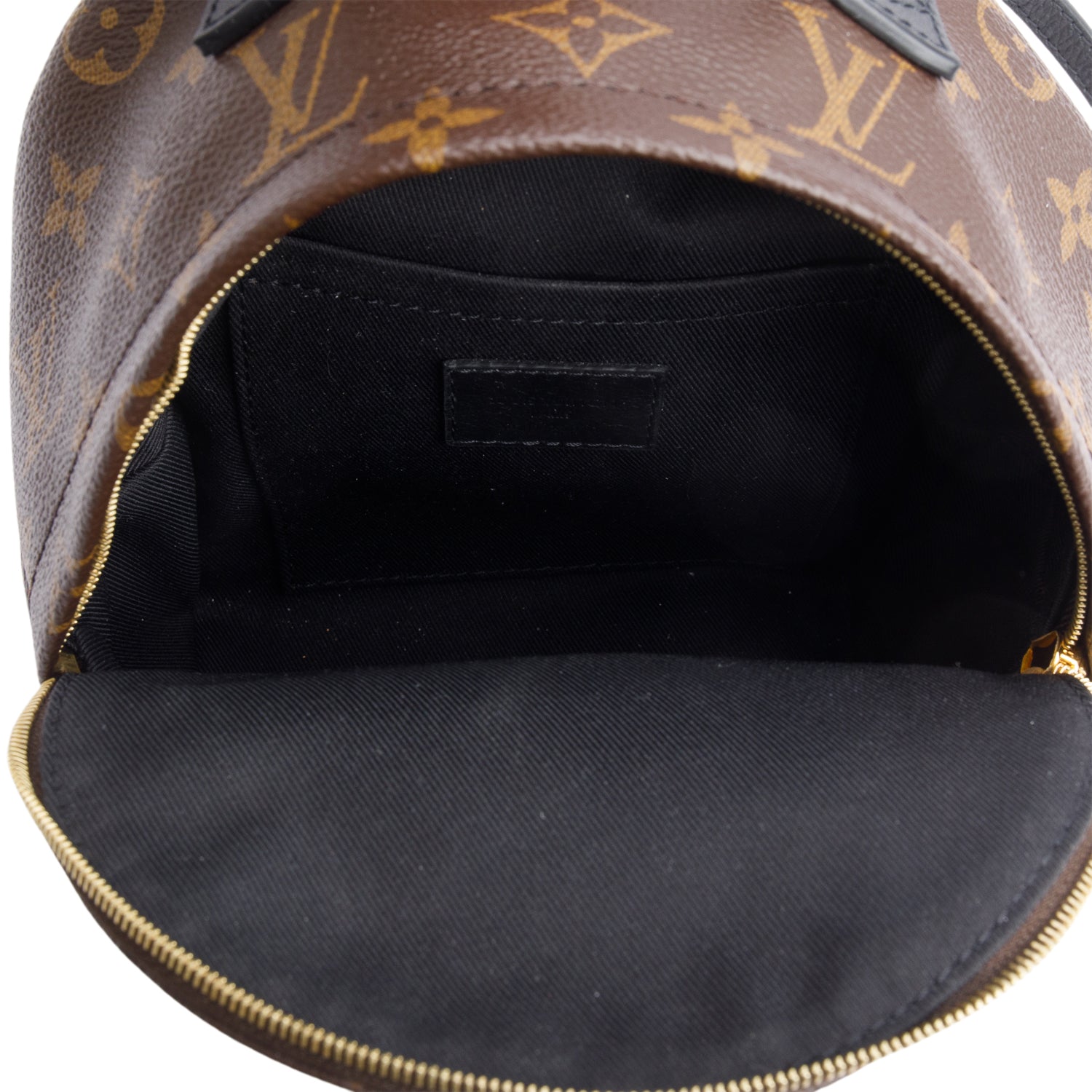 Louis Vuitton Monogram Palm Springs Mini Backpack w/ Receipt