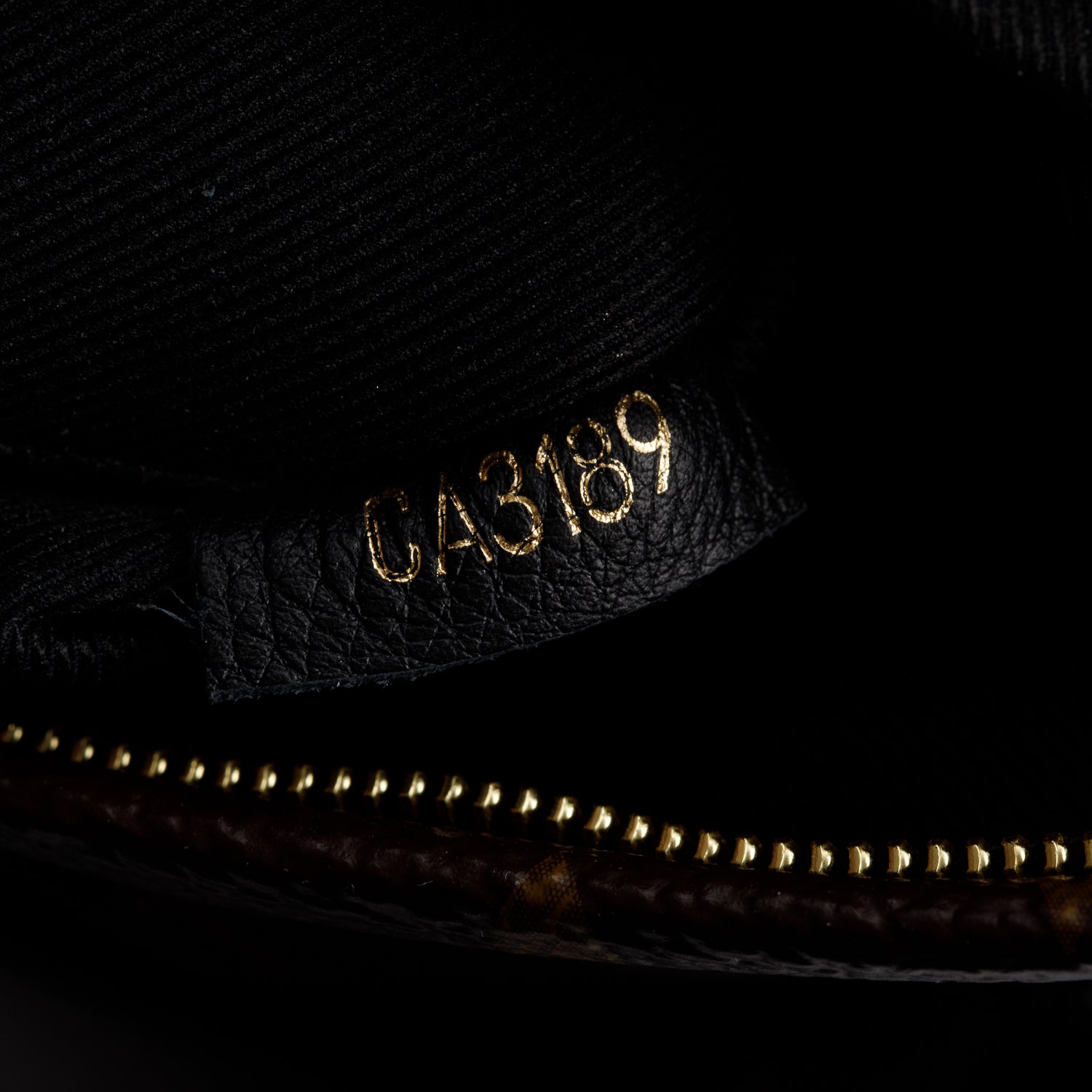 Louis Vuitton Monogram Palm Springs Mini Backpack w/ Receipt