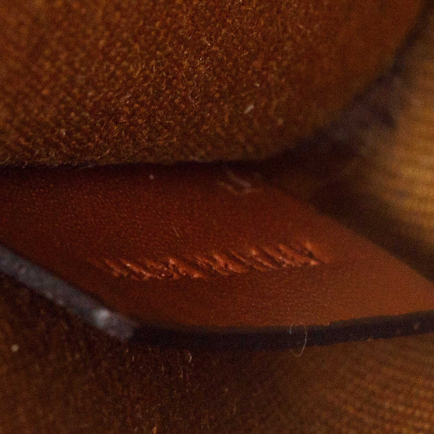 Celine 2020 Triomphe Canvas Mini Vertical Cabas Tote w/ Strap