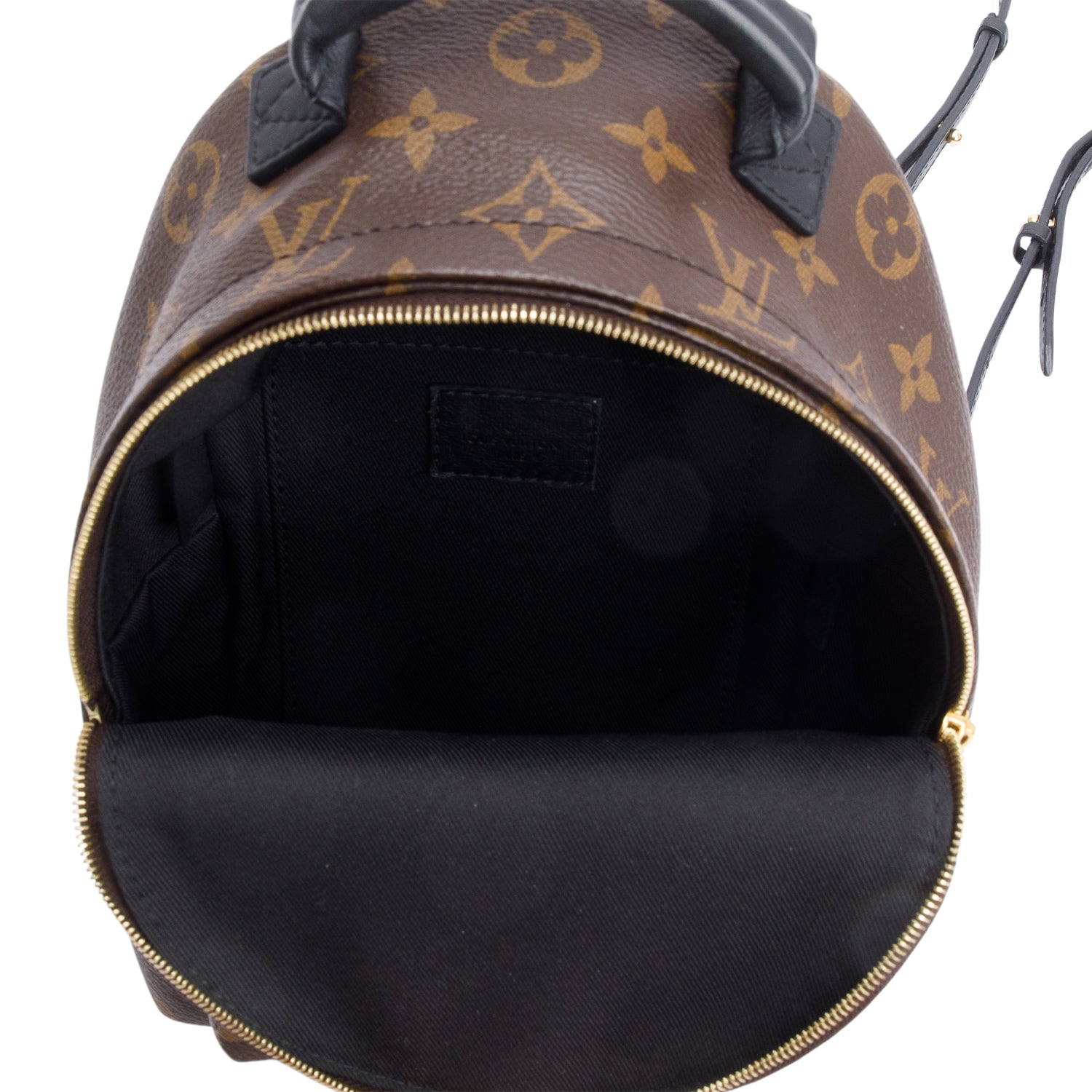 Louis Vuitton Monogram Palm Springs Mini Backpack