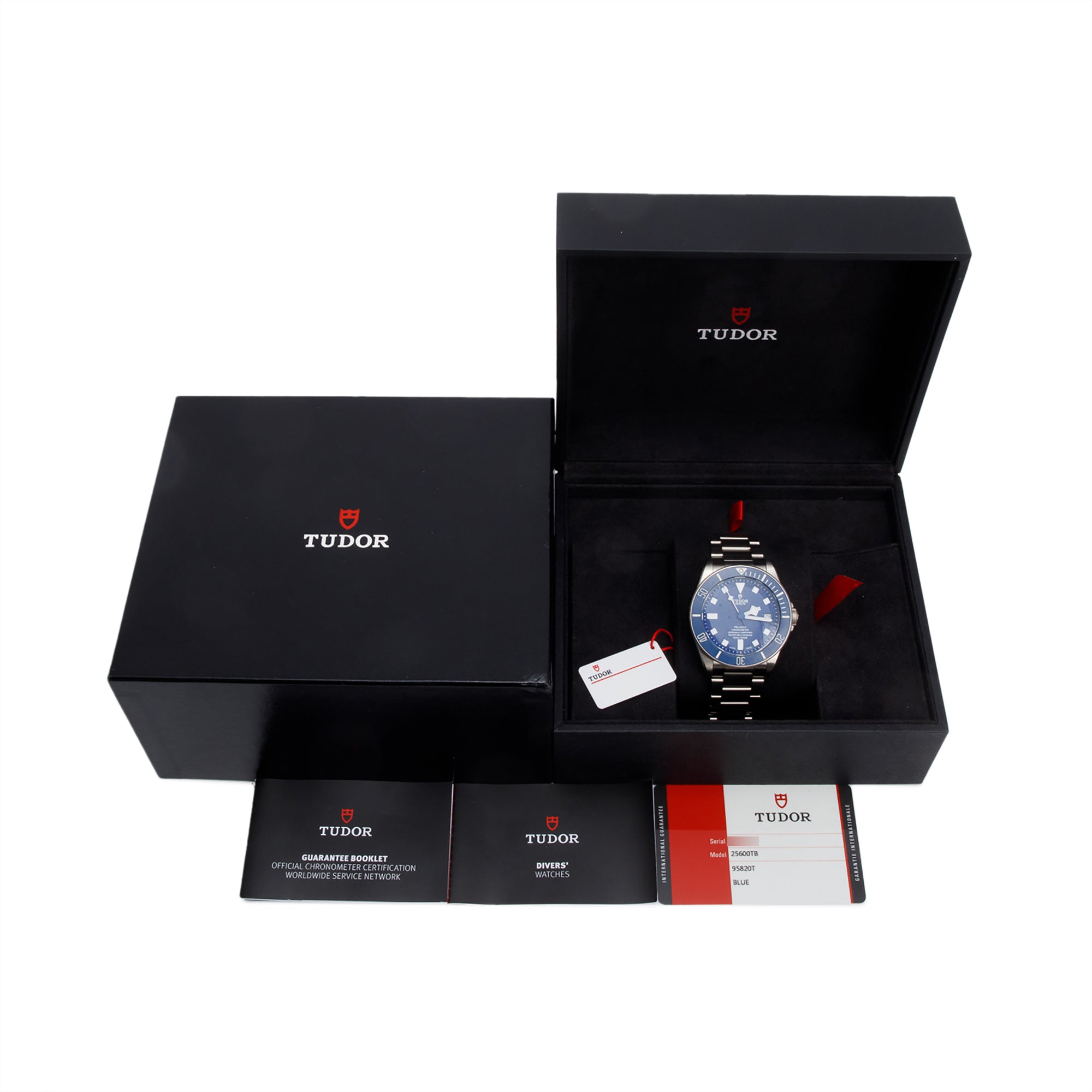Tudor 2022 Titanium Blue Dial Pelagos 42 MM Automatic Watch 25600TB w/ Box & Papers