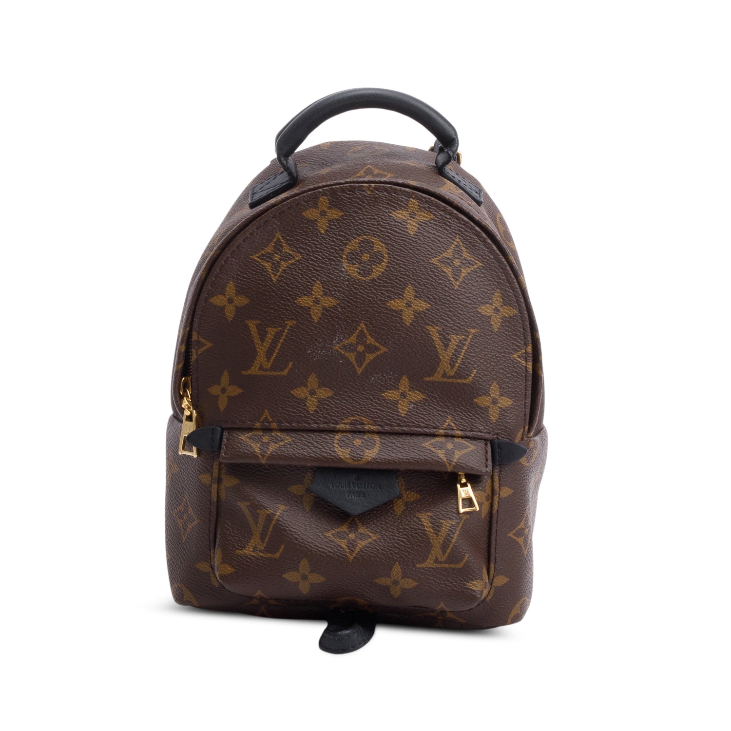 Louis Vuitton Monogram Palm Springs Mini