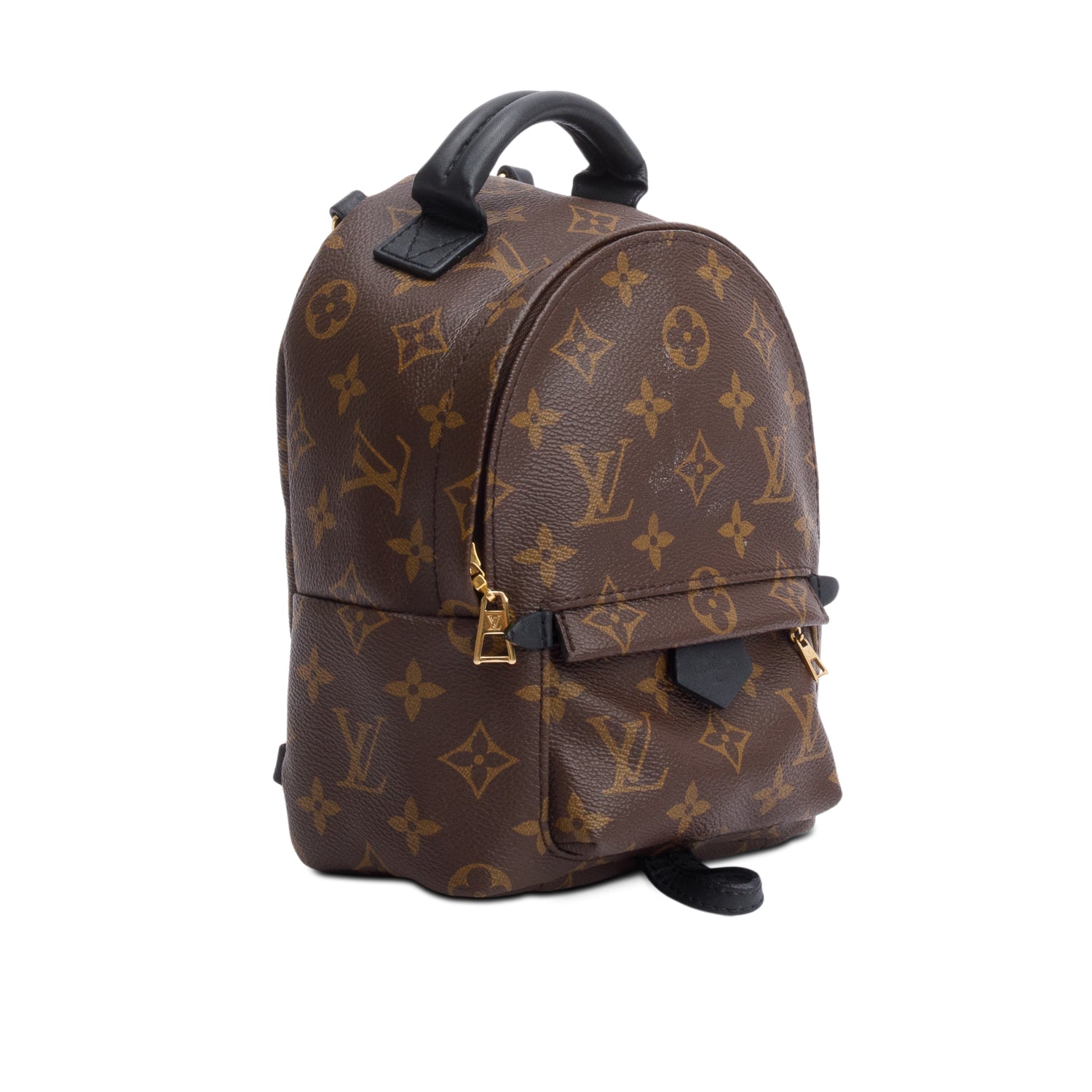 Louis Vuitton Monogram Palm Springs Mini