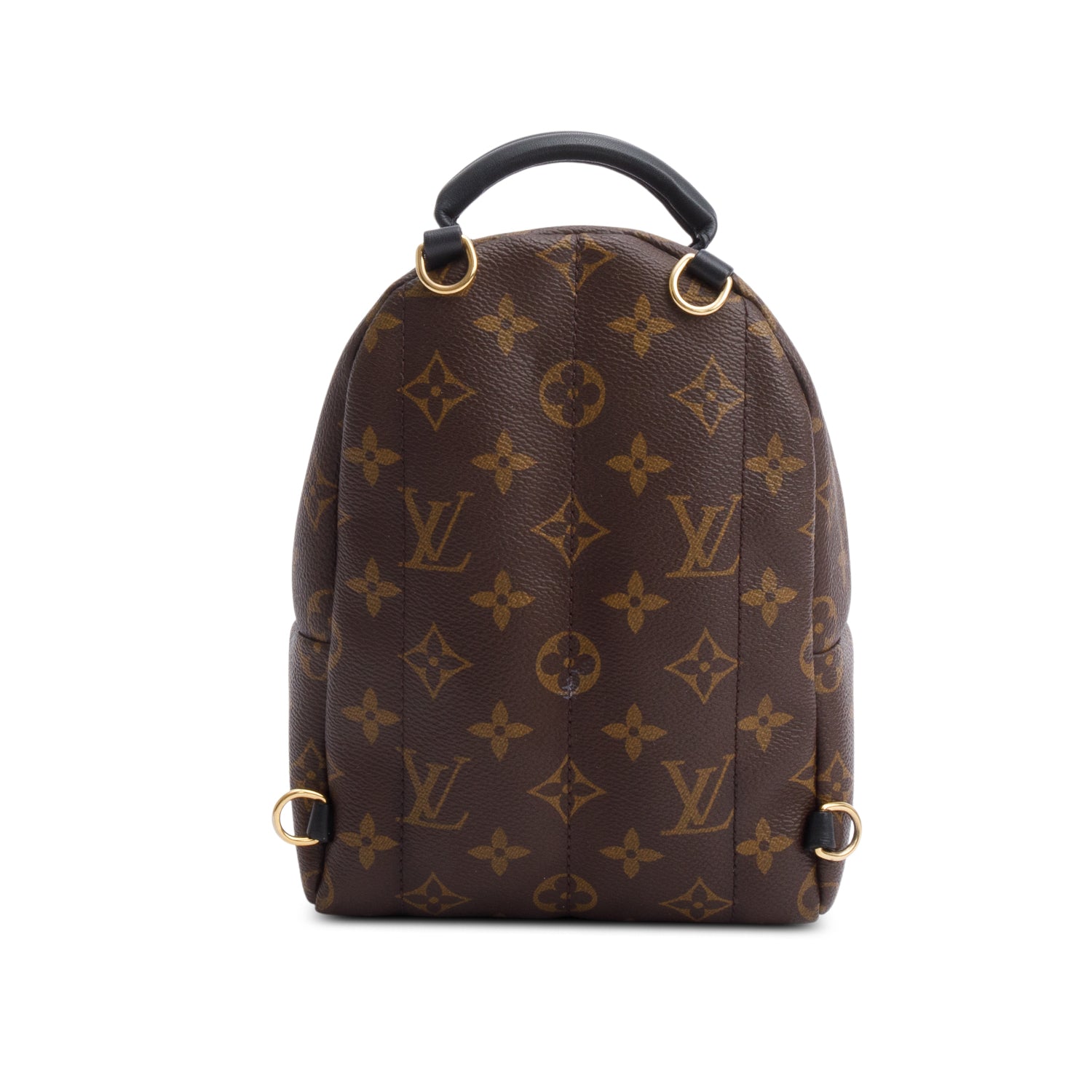 Louis Vuitton Monogram Palm Springs Mini
