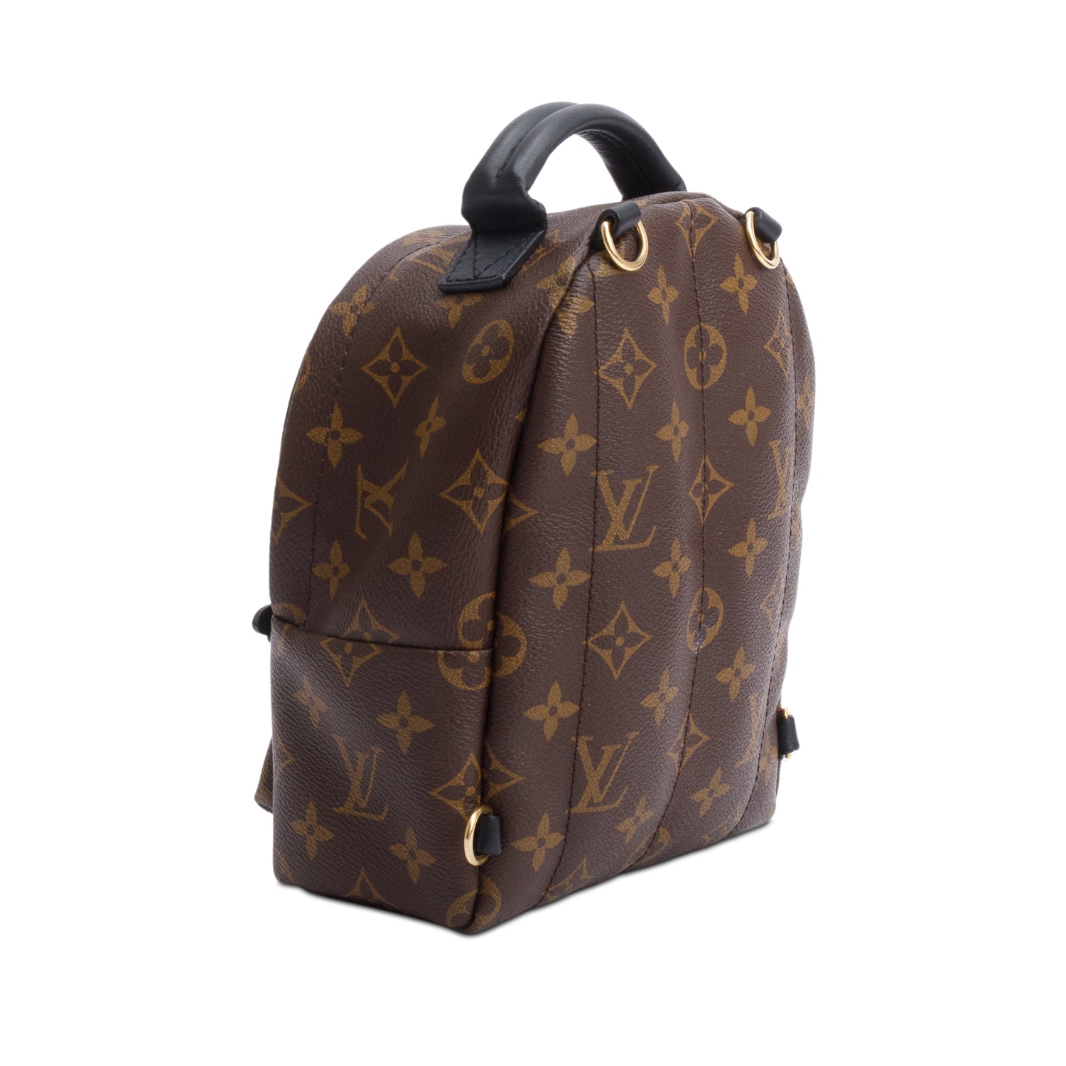 Louis Vuitton Monogram Palm Springs Mini