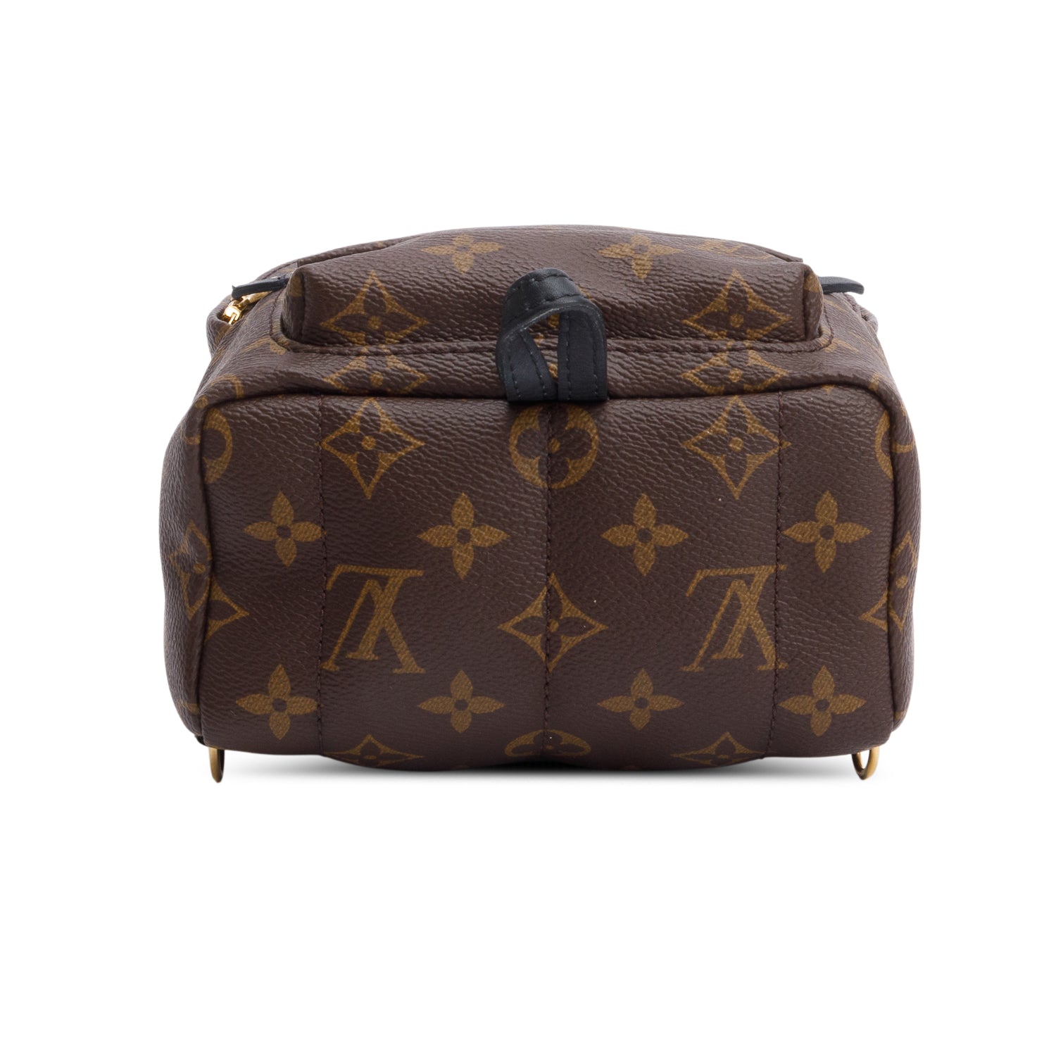 Louis Vuitton Monogram Palm Springs Mini