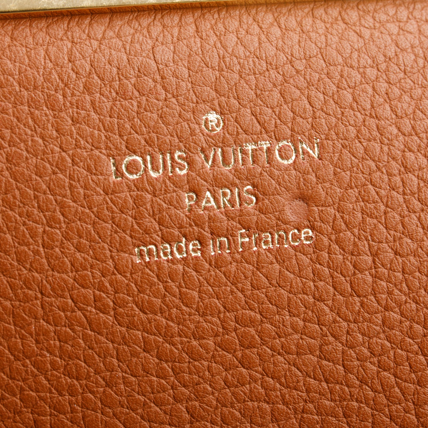 Louis Vuitton Monogram Olympe