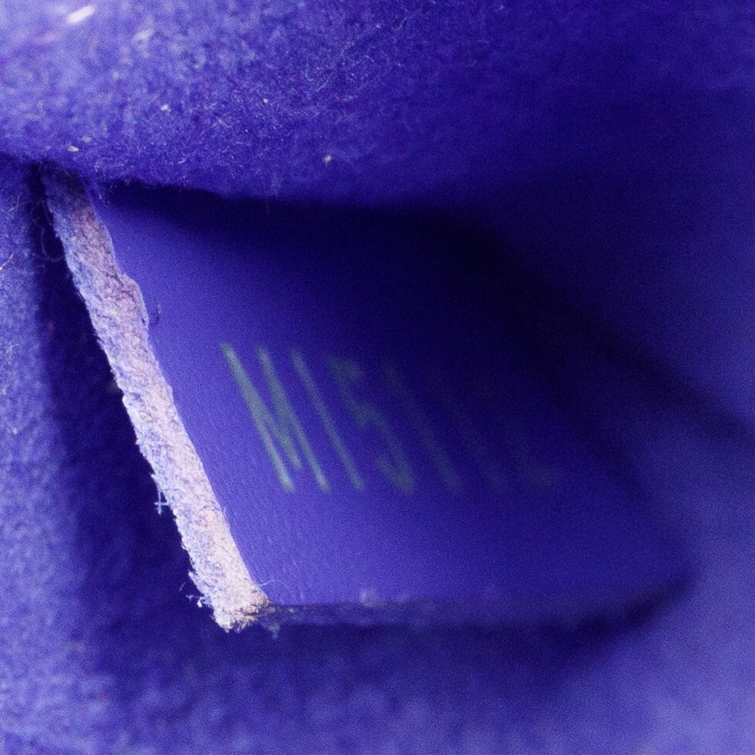 Louis Vuitton Purple Epi Alma GM