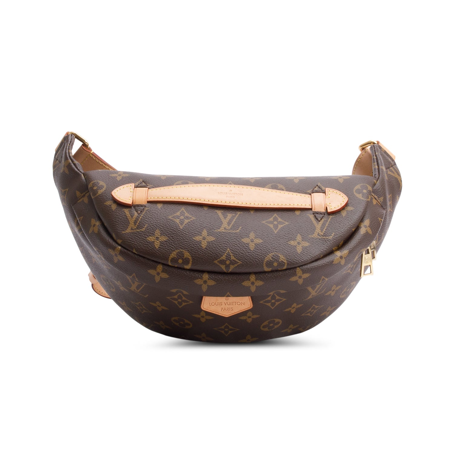 Louis Vuitton 2020 Monogram Bumbag