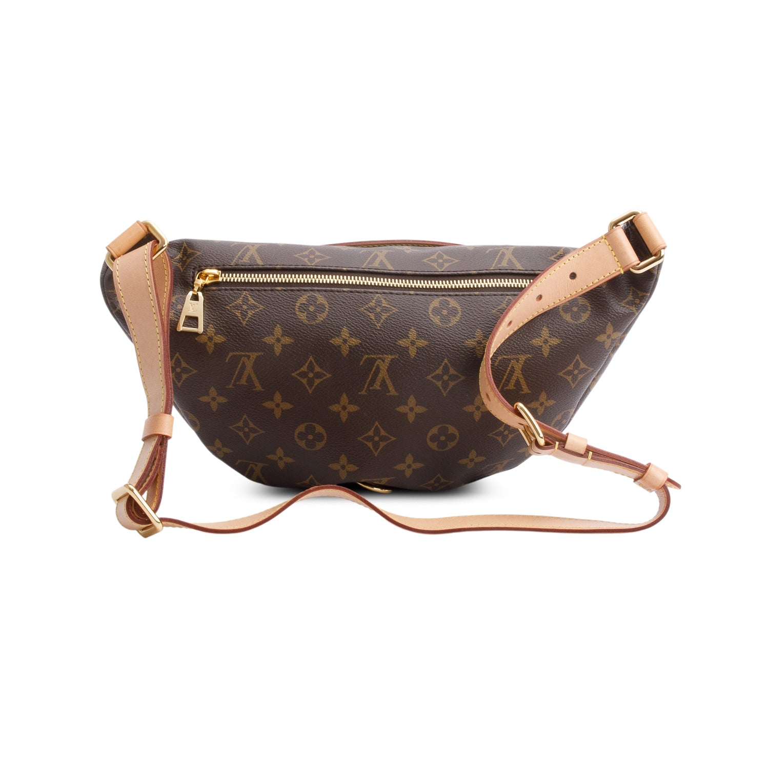 Louis Vuitton 2020 Monogram Bumbag
