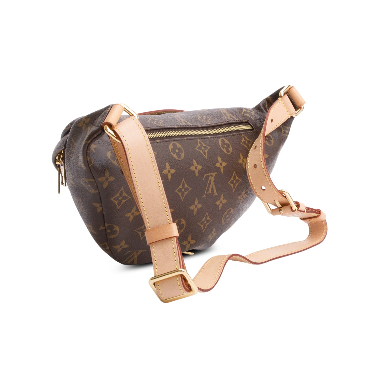 Louis Vuitton 2020 Monogram Bumbag