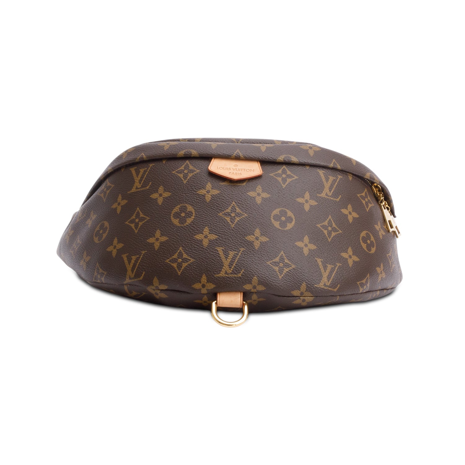 Louis Vuitton 2020 Monogram Bumbag