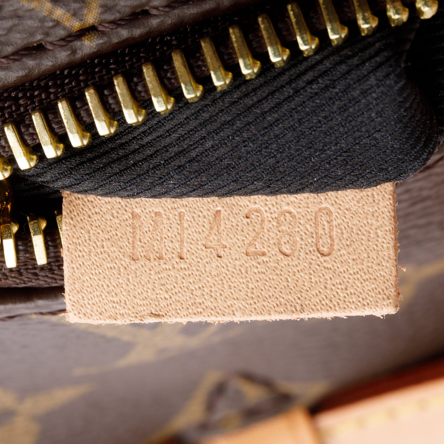Louis Vuitton 2020 Monogram Bumbag