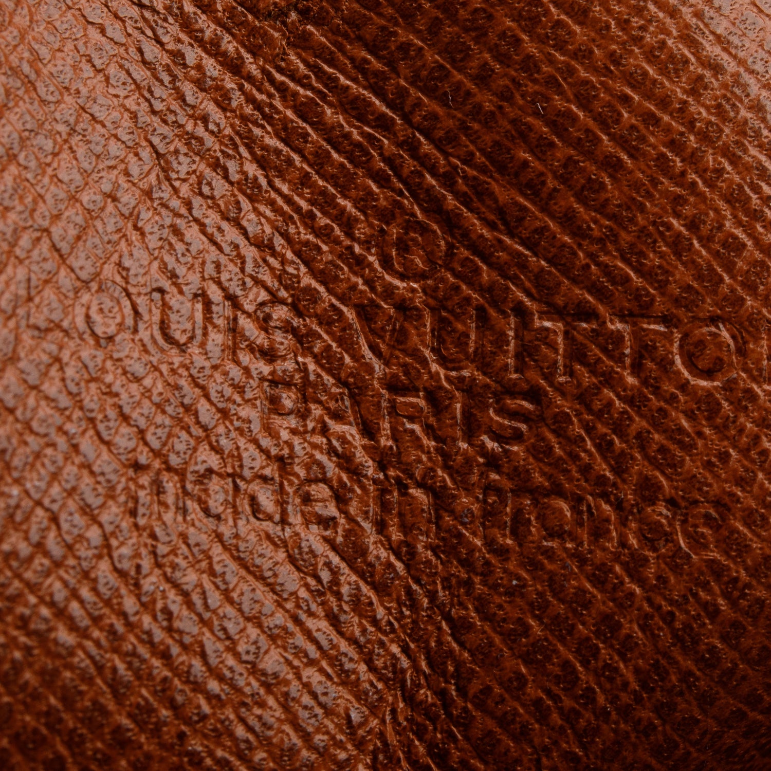 Louis Vuitton Monogram Danube Mini Bag