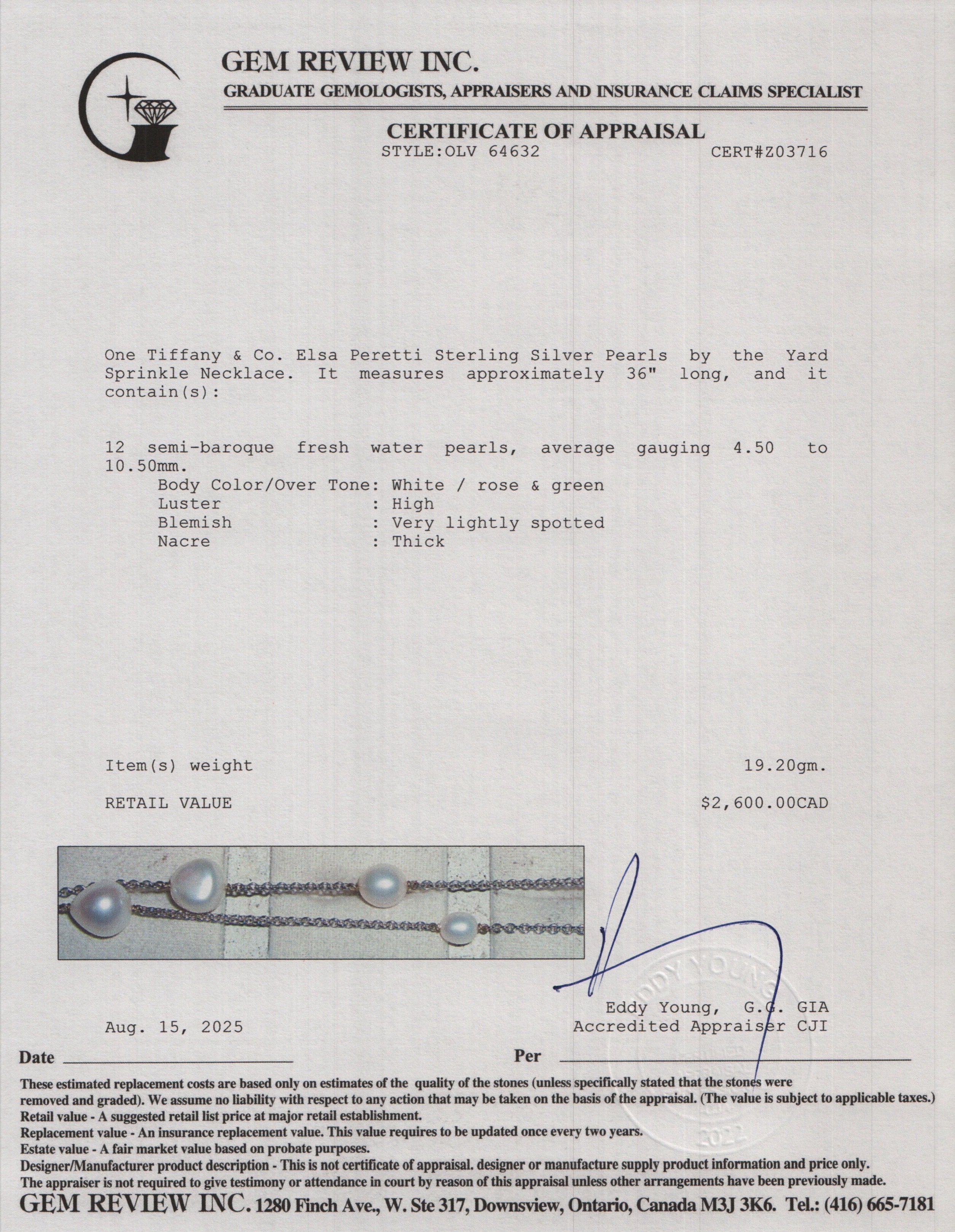 Tiffany & Co. Elsa Peretti Sterling Silver Pearls by the Yard Sprinkle Necklace w/ Box