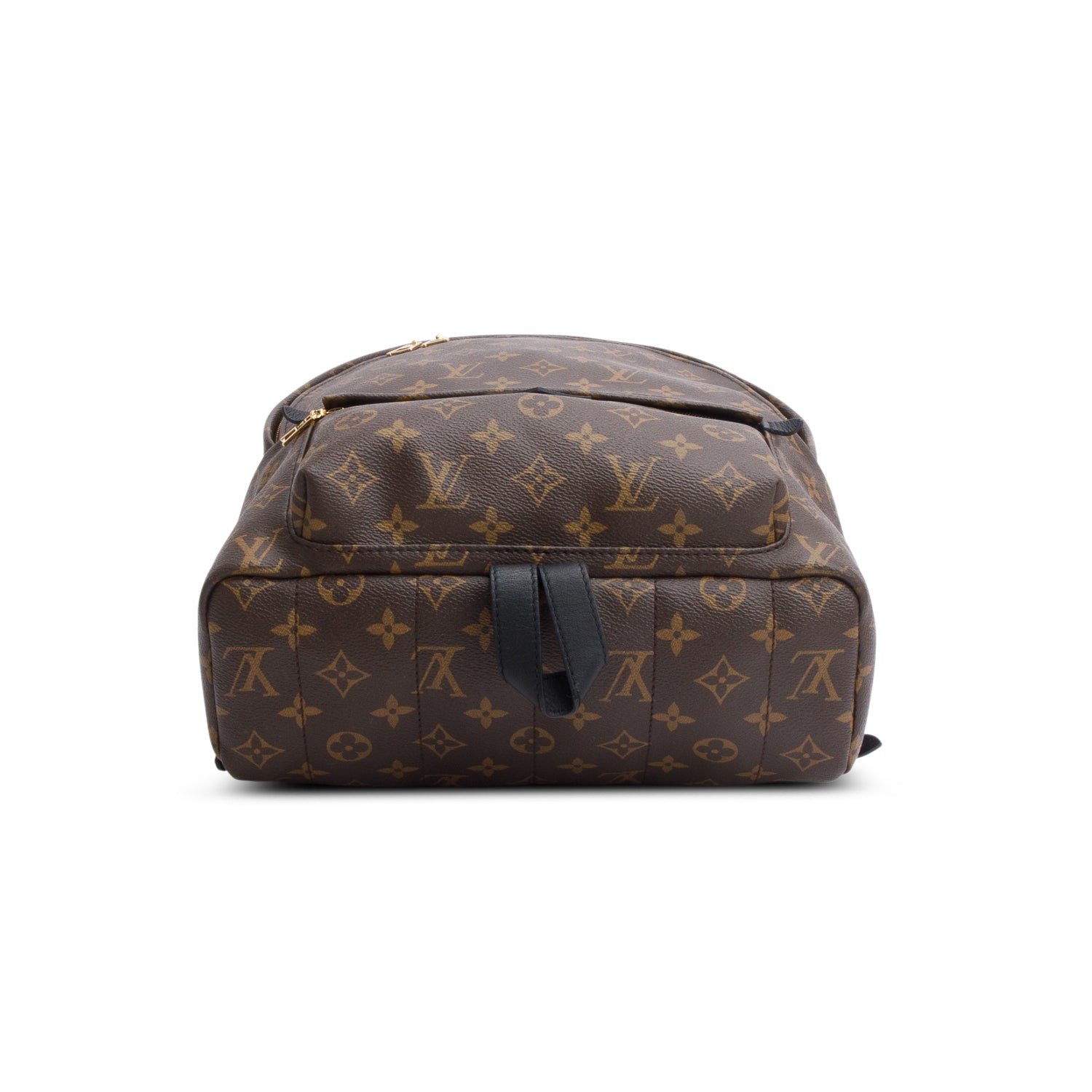 Louis Vuitton Monogram Palm Springs Backpack MM