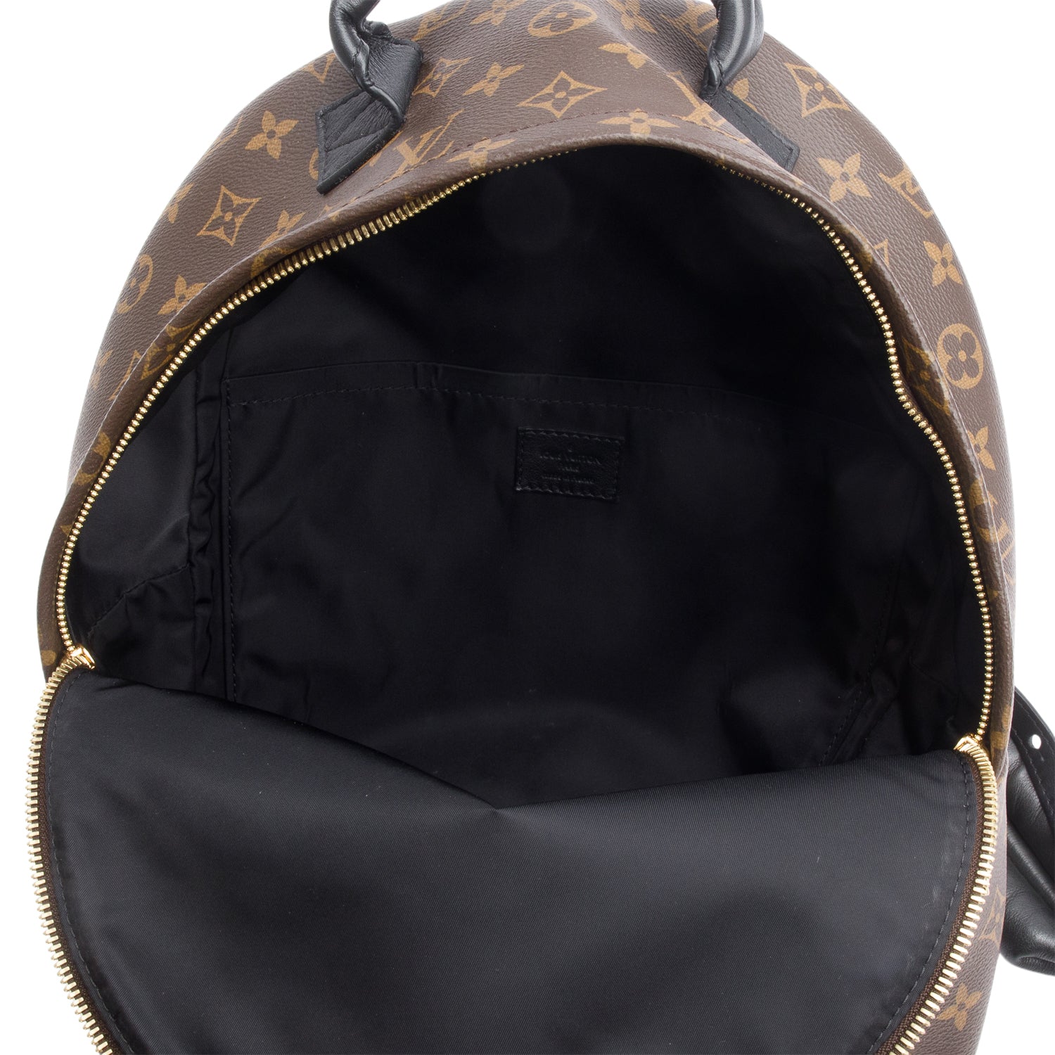 Louis Vuitton Monogram Palm Springs Backpack MM