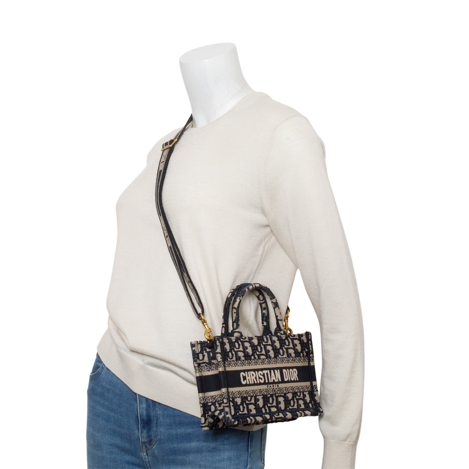 Christian Dior 2024 Blue Oblique Embroidered Mini Book Tote w