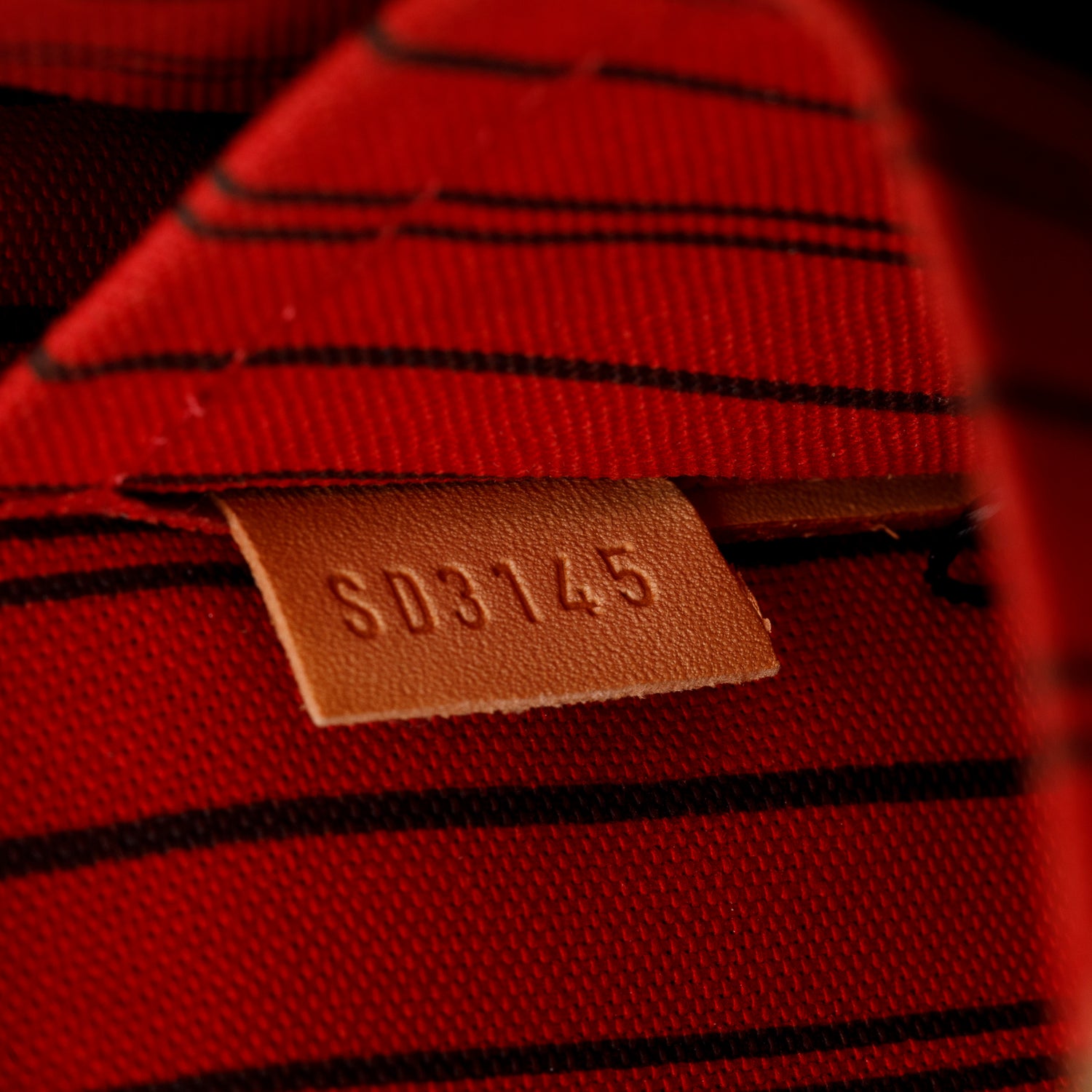 Louis Vuitton Monogram Neverfull Pochette