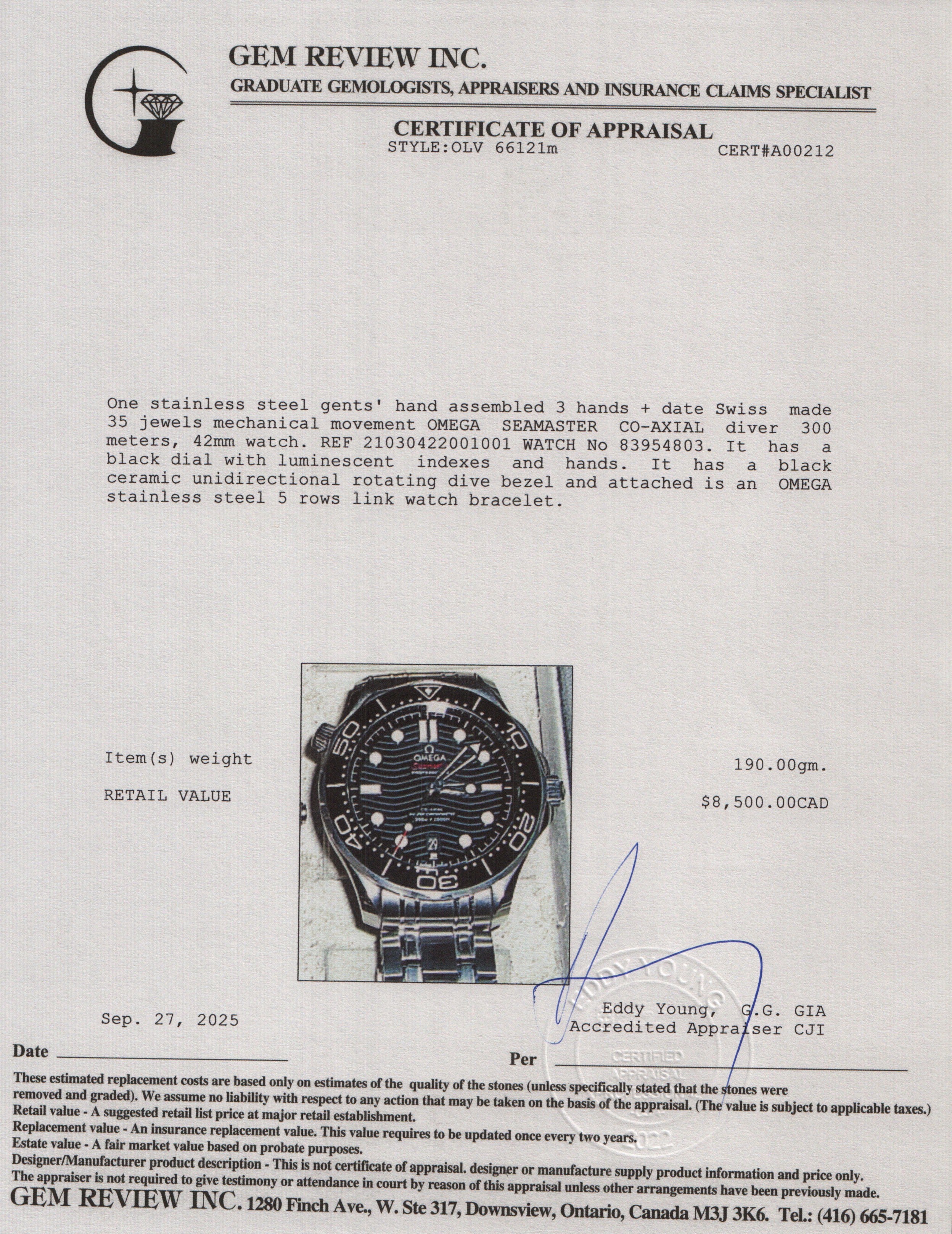 Omega 2023 Stainless Steel Seamaster Diver 300M Co-Axial Chronometer 42 MM Watch Black Dial w/ Box & Papers