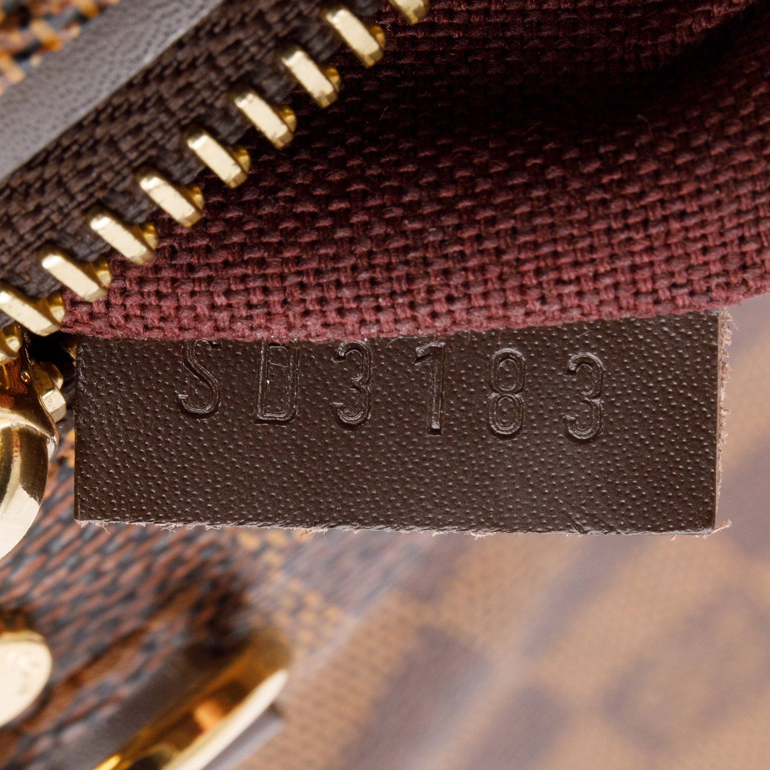 Louis Vuitton Damier Ebene Hoxton PM w/ Strap