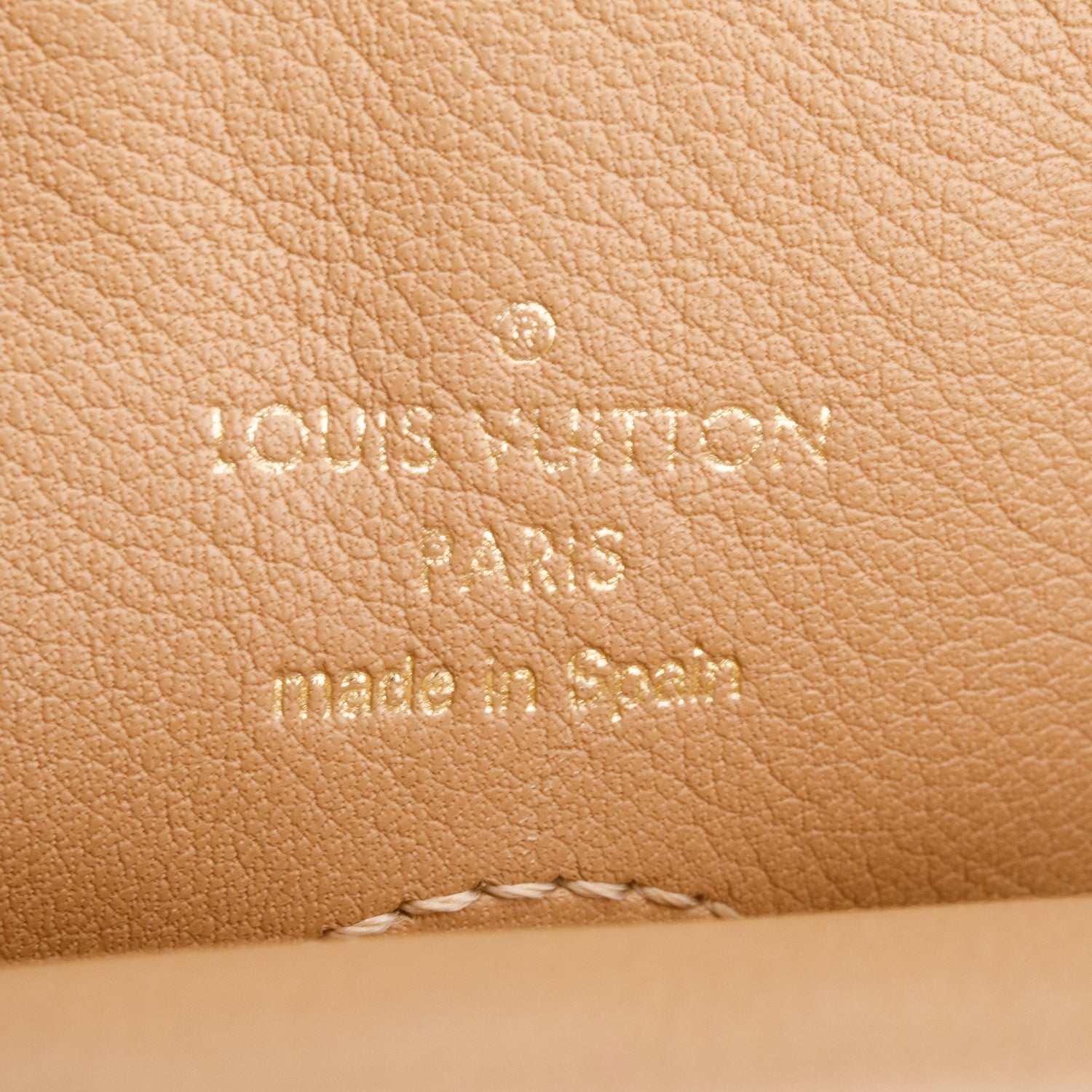 Louis Vuitton Monogram Tuileries Hobo w/ Strap