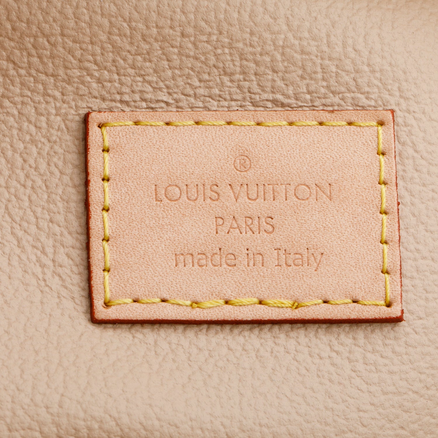 Louis Vuitton Monogram Nice Nano